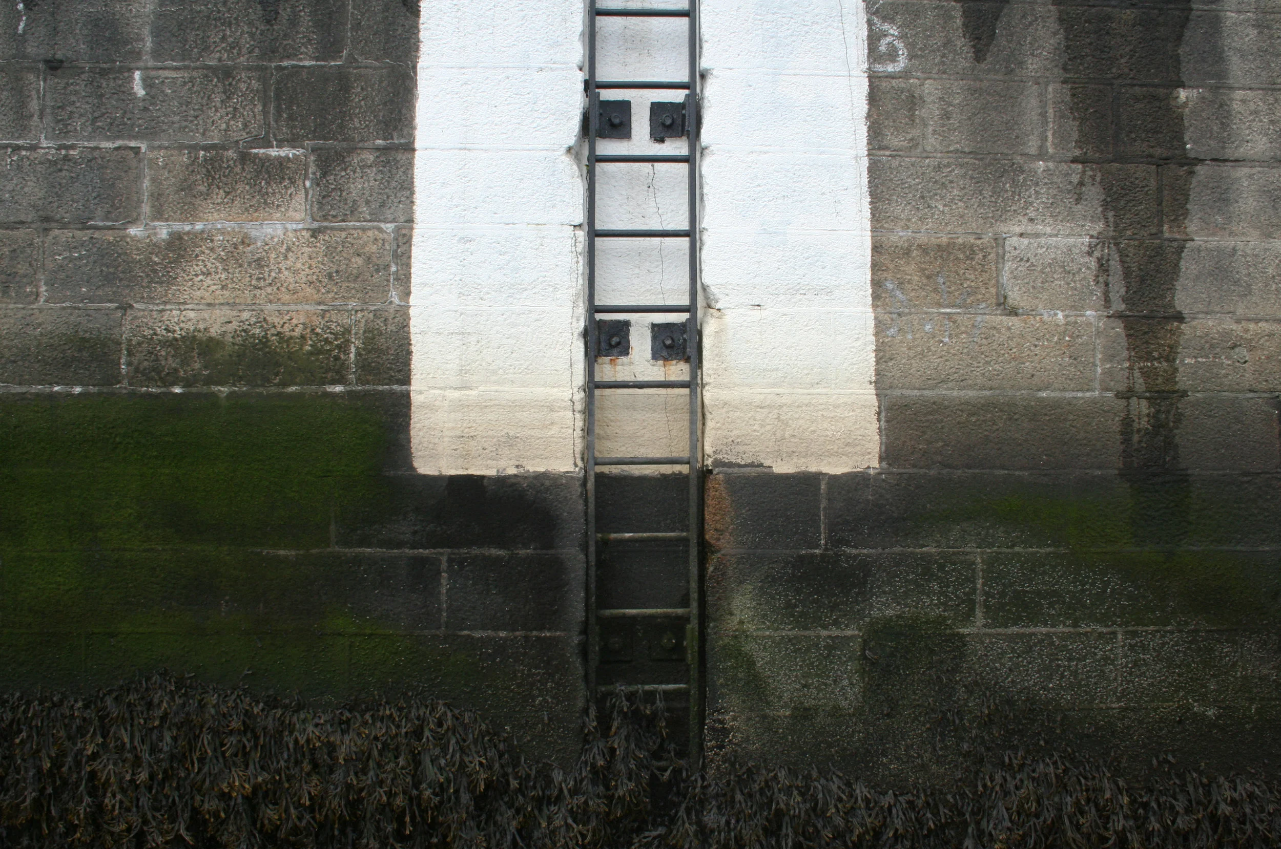 Climbing the Product Management Career Ladder