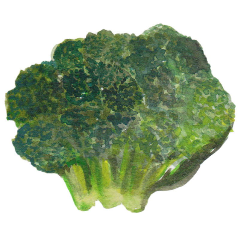 broccoli_whole.jpg
