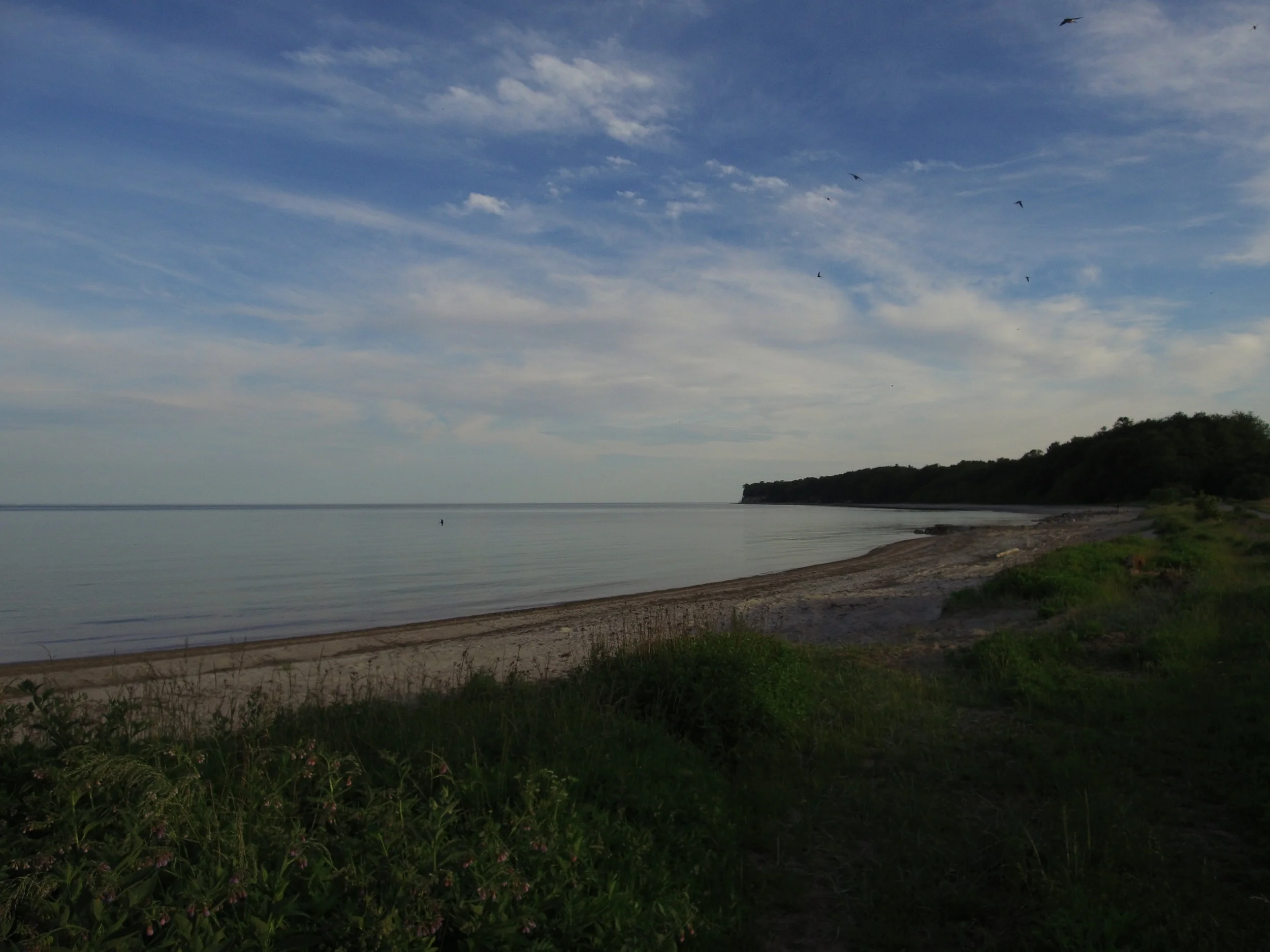 DJI_0020.JPG