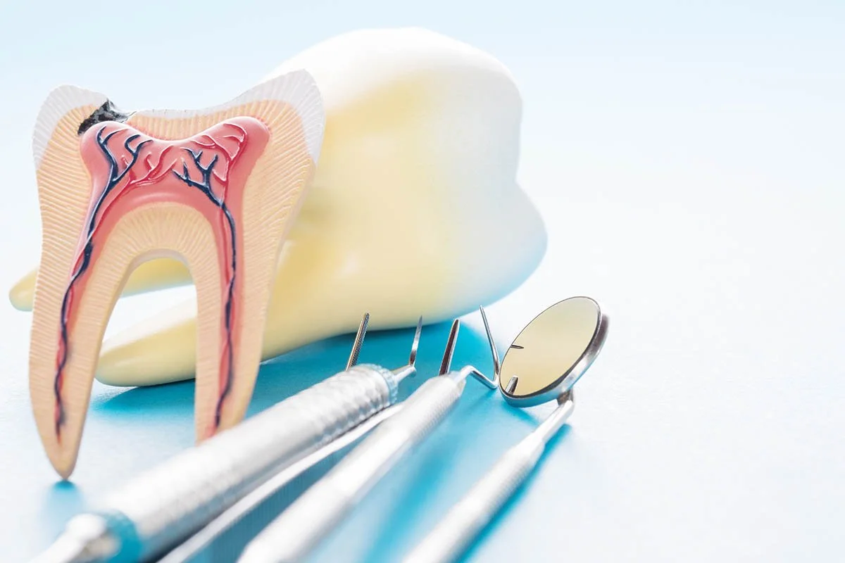 Hands-on Masterclass Endodontologie