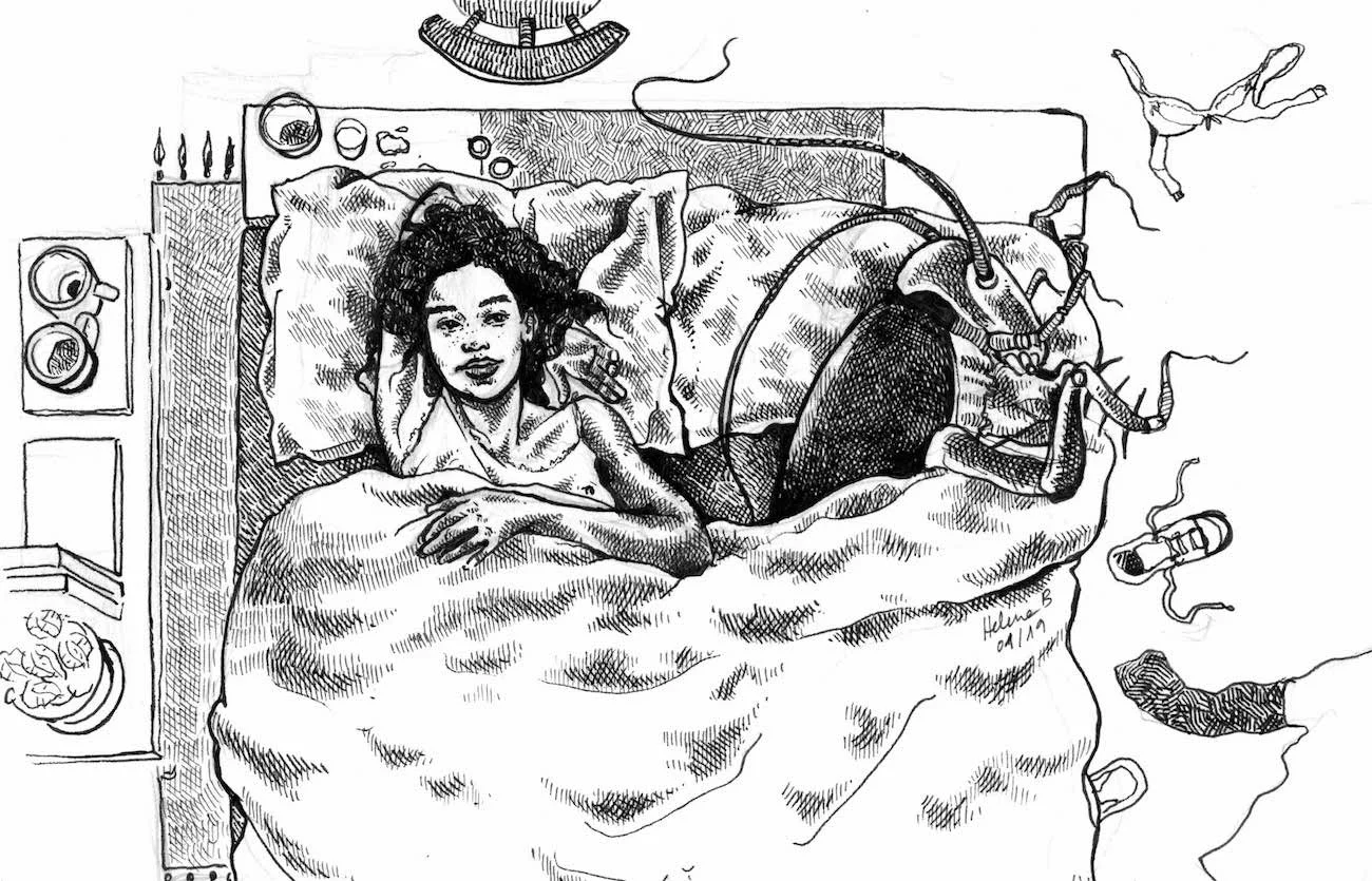 bedwithcockroach_readyforweb.jpg