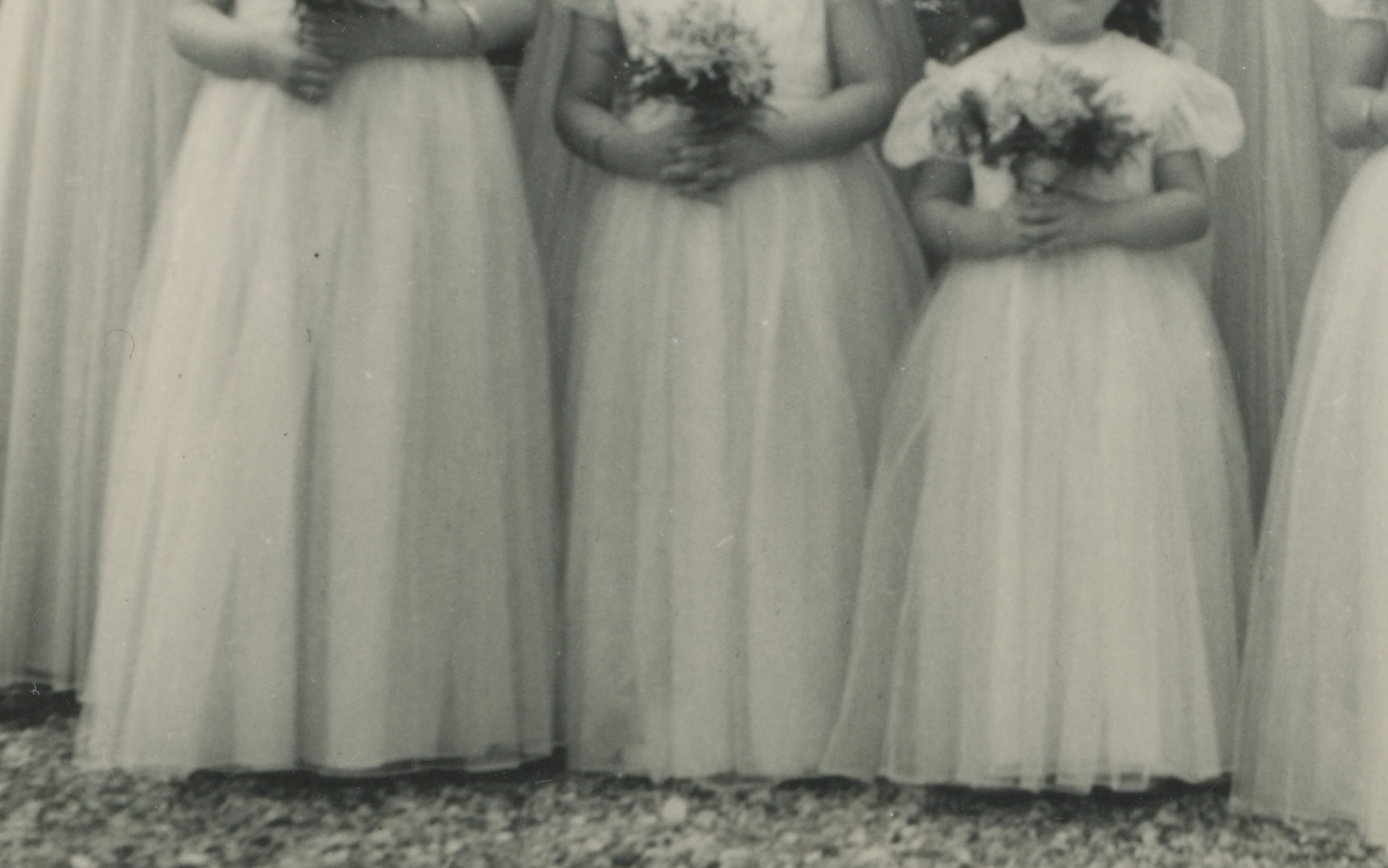 Screenshot 2026-03-04 at 12.00.34.png