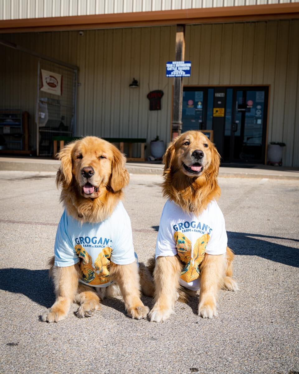 Happy Friday! Grogan&rsquo;s Golden shirts are still available in store and on our website! Come snag you one in 5 adorable colors and we even have them in kids sizes❤️