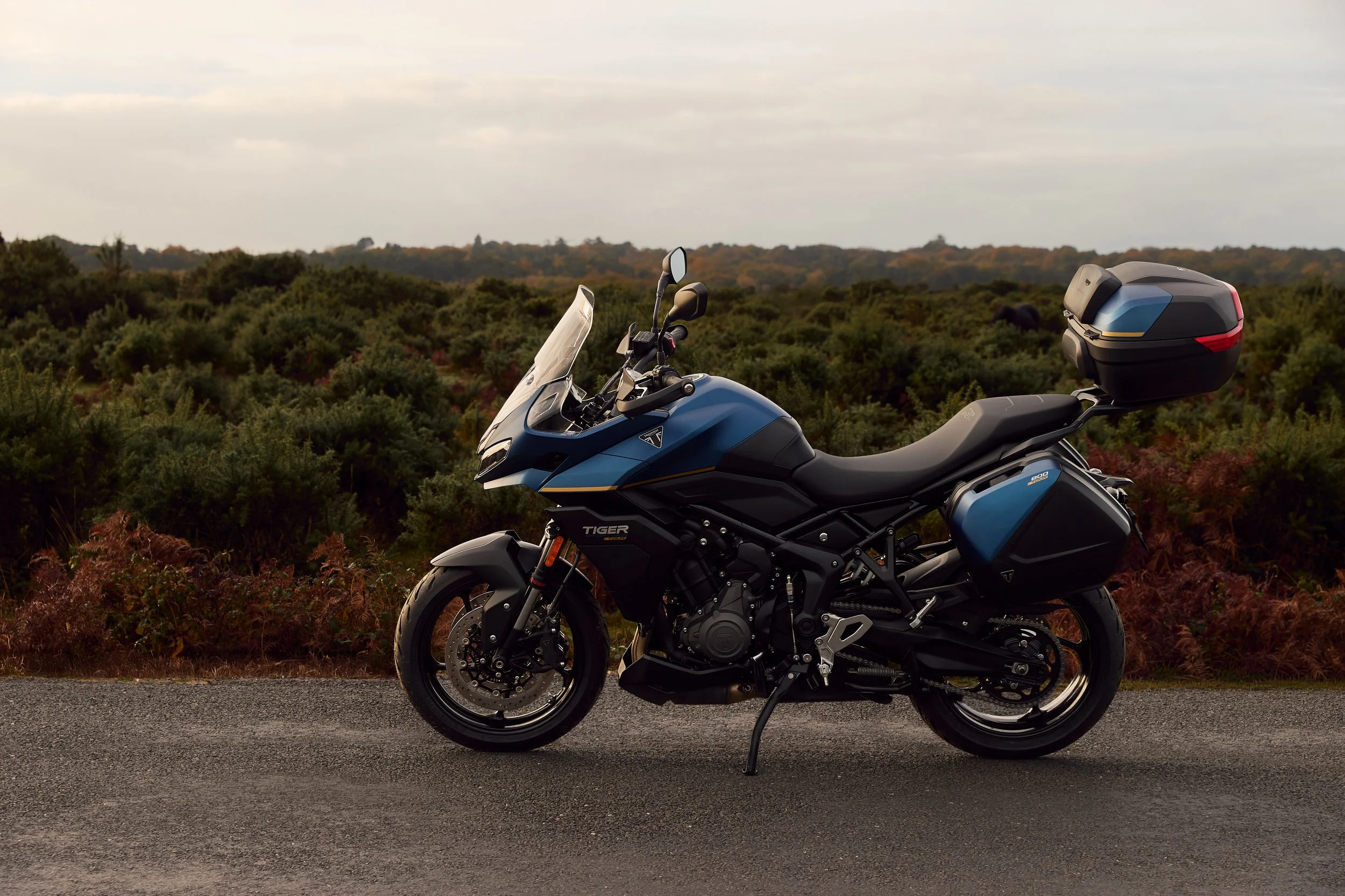 Tiger_Sport_800_Tour_MY26_CW4I2738_GE (1).jpg