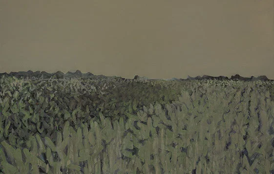 Spring Field