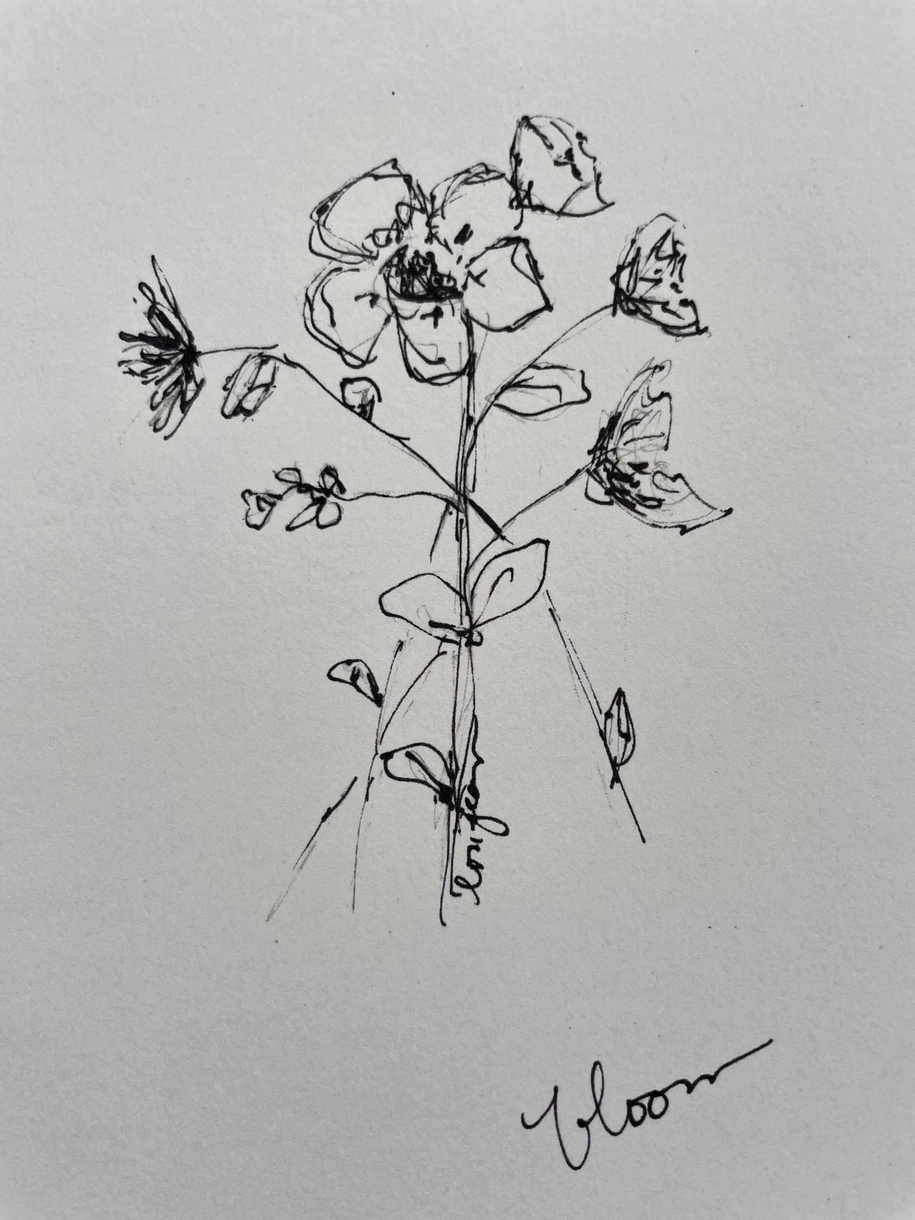 3AA9C6CB-31D1-4092-B2F5-5341FD85C4B2