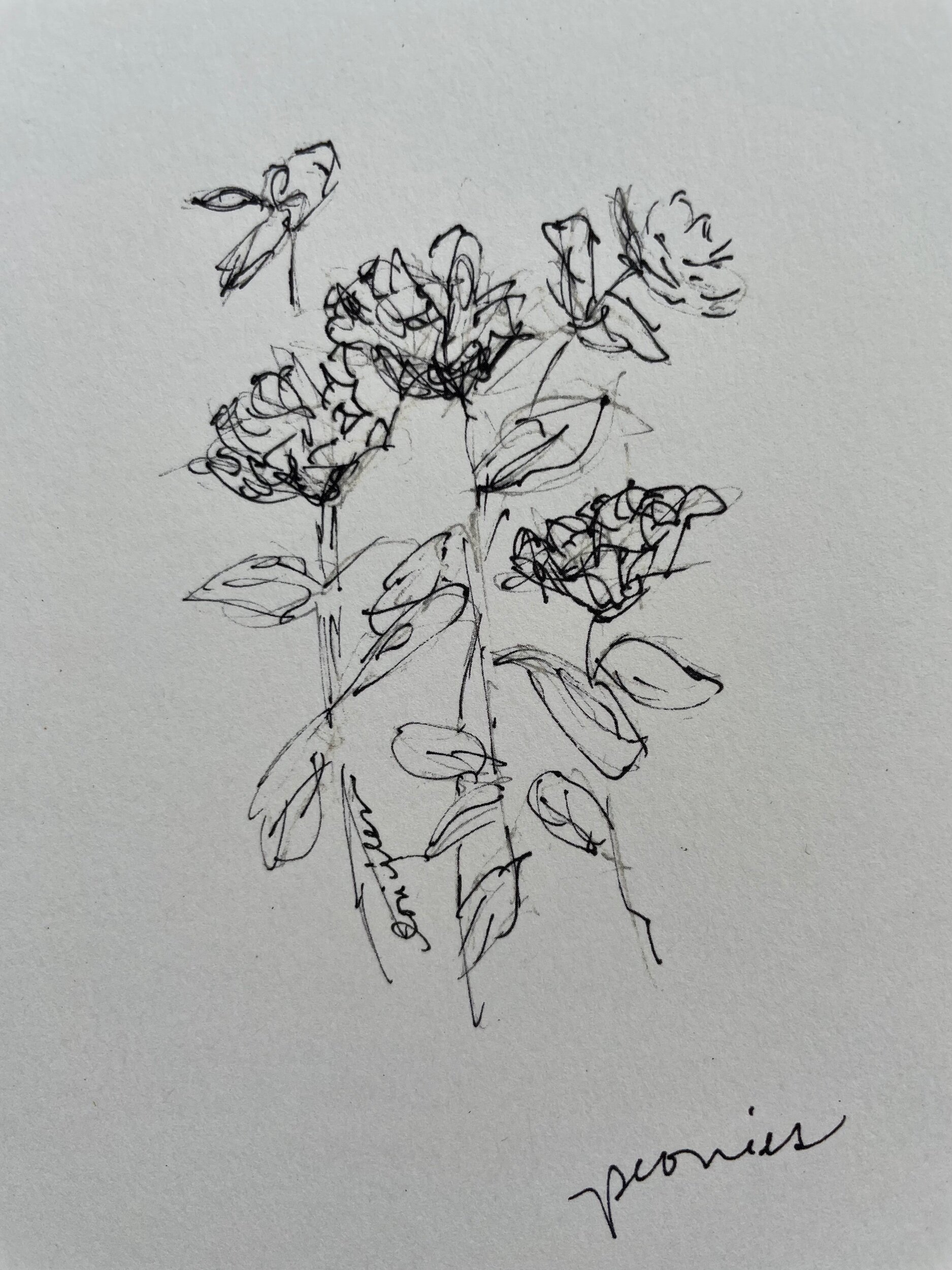 4C6C02B1-B1CD-41B4-A857-D9570188F6FB