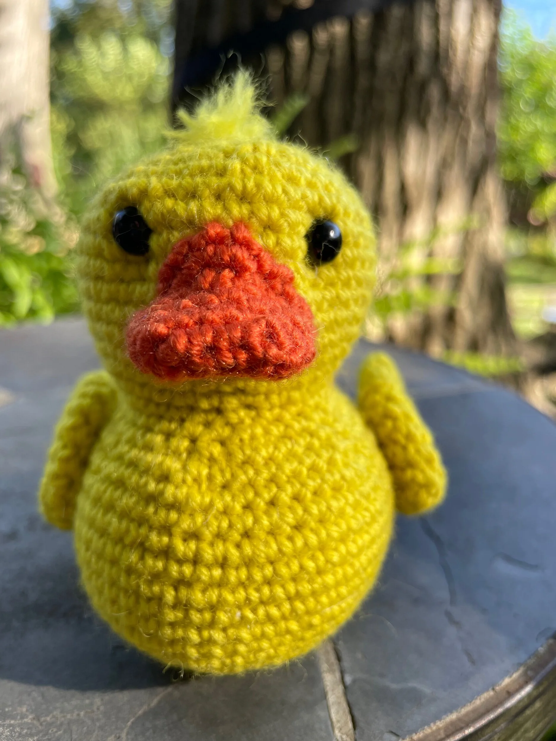 962EF88F-C399-44AD-A99F-02BA552945CF