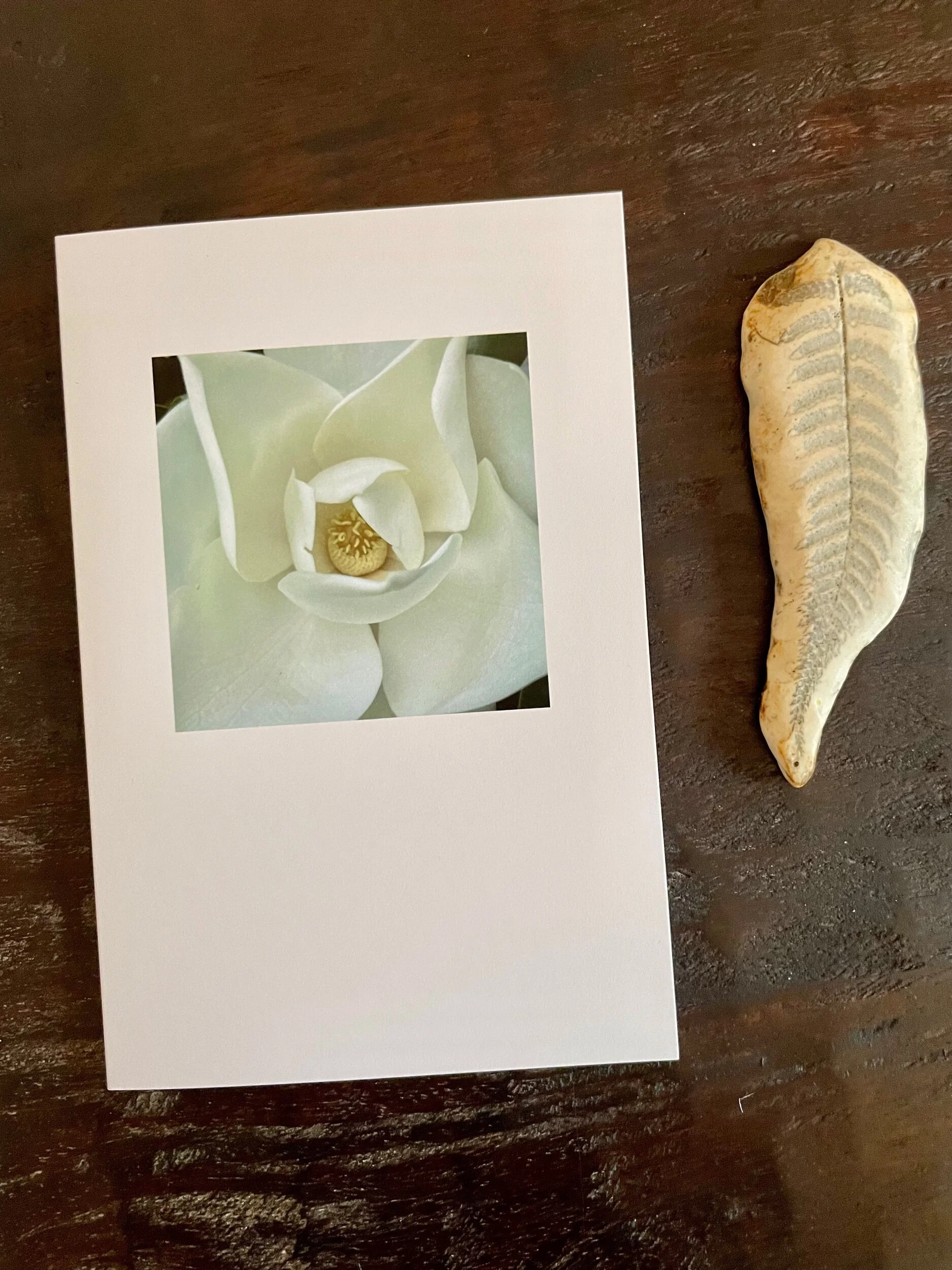 DF13D5E6-51A9-4204-9532-44D65B6FB3B6