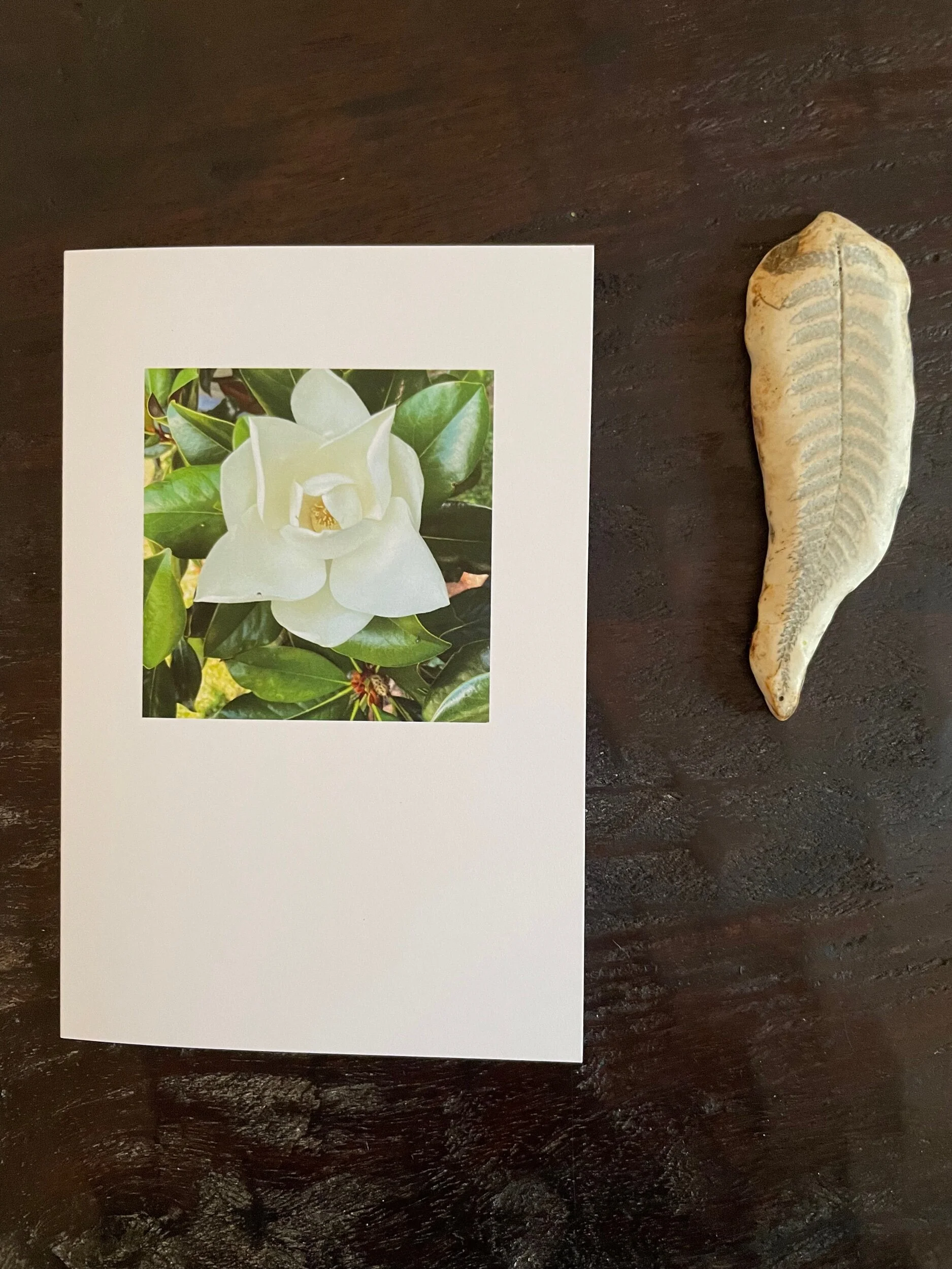 BA9DFCCC-161C-4C5B-AE79-86ABA960F3C5