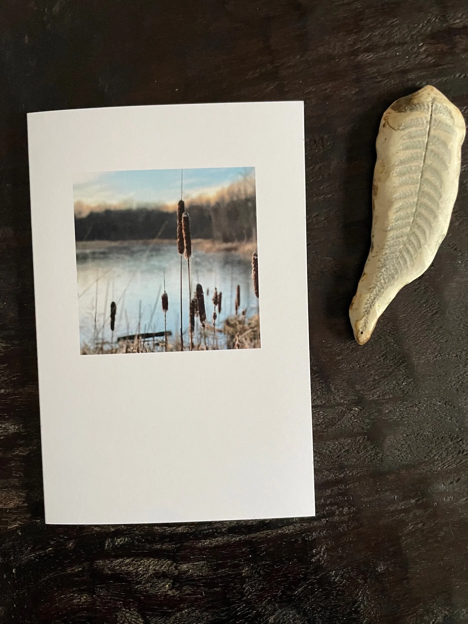 57F9B3F9-1596-4320-8338-B8F5E023693A