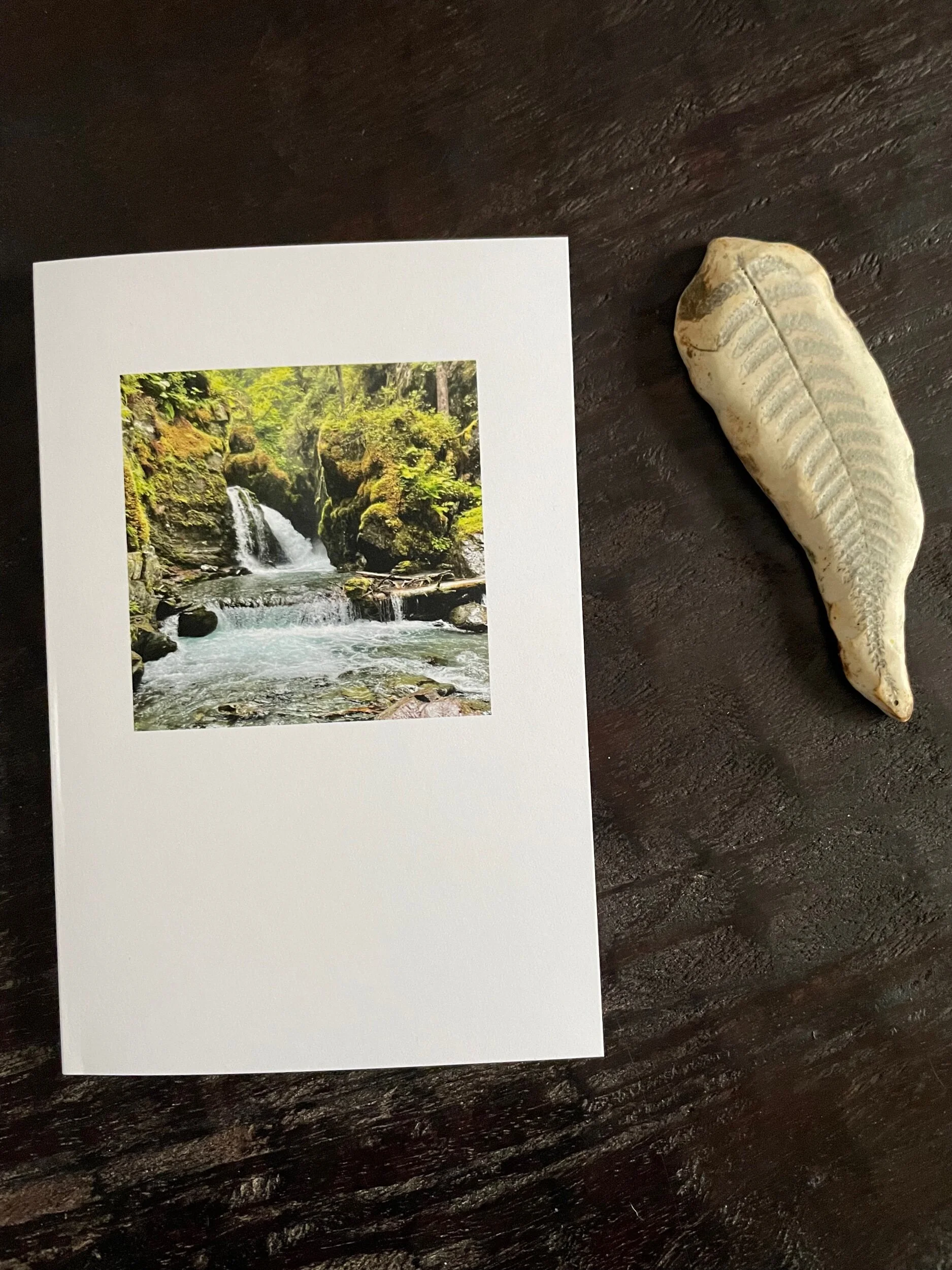 1EB79A70-ABDF-4E8C-AB38-932147480EC8