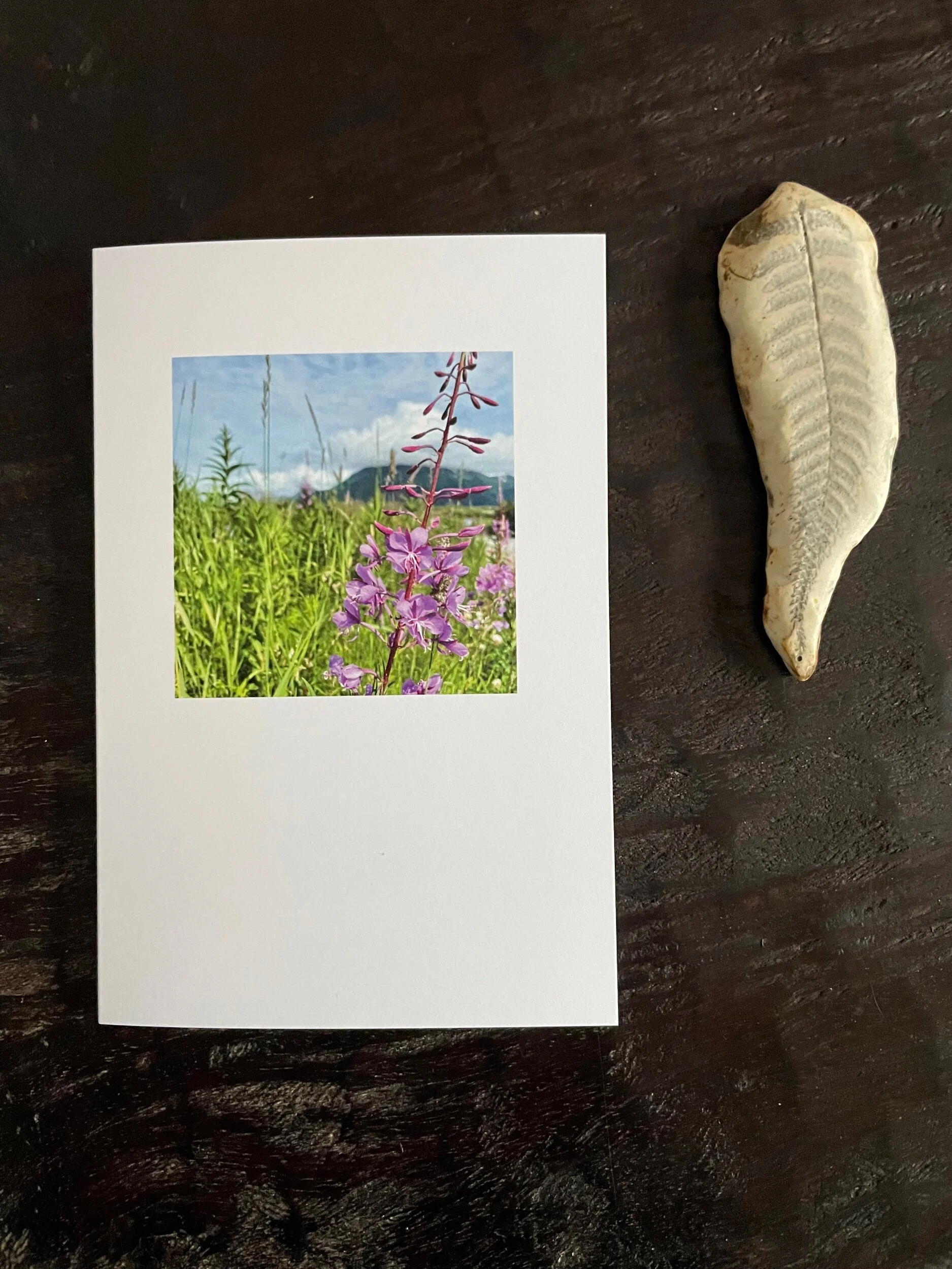 D0780377-A173-48B6-906E-FA2F32EA047F