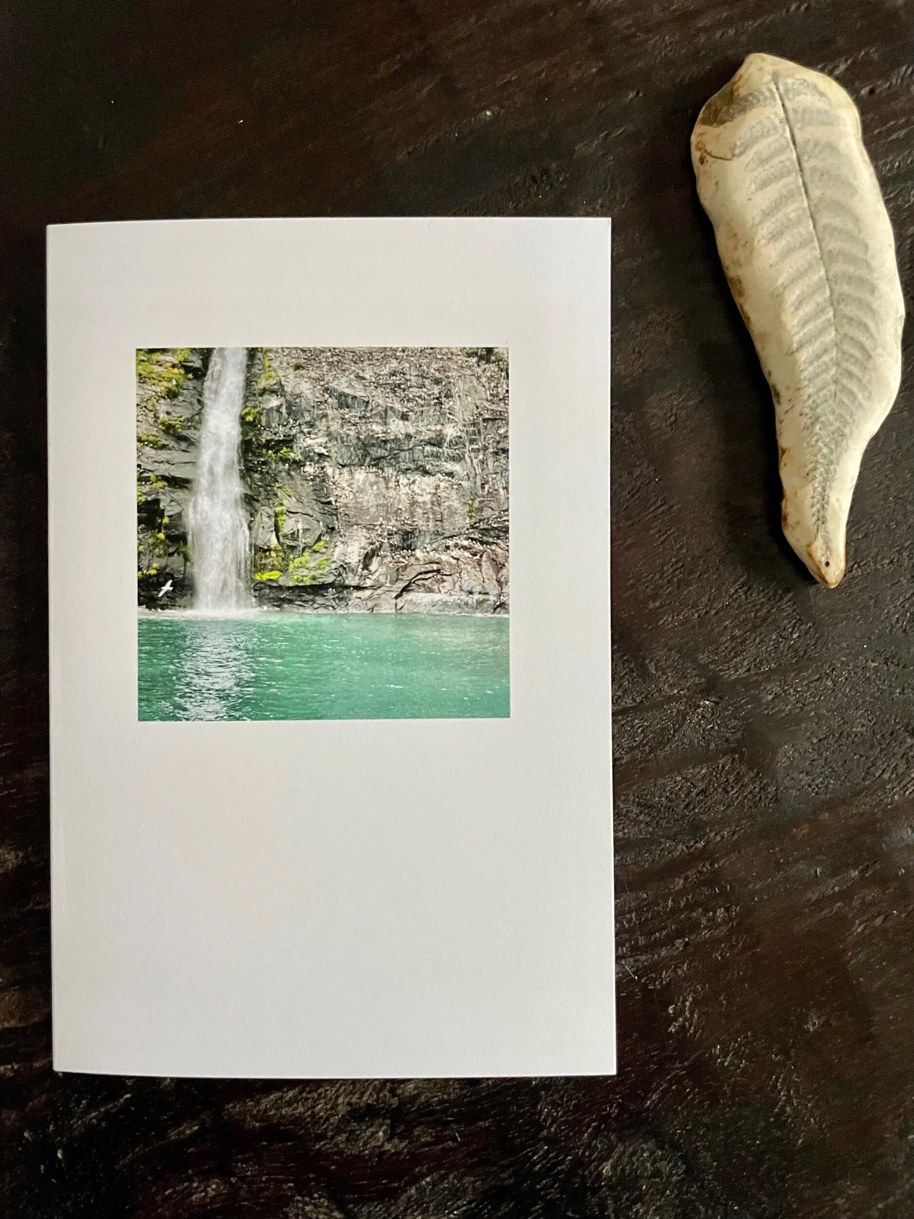 AE31D7DB-56FC-4BA3-8E83-17BACDBA3D28