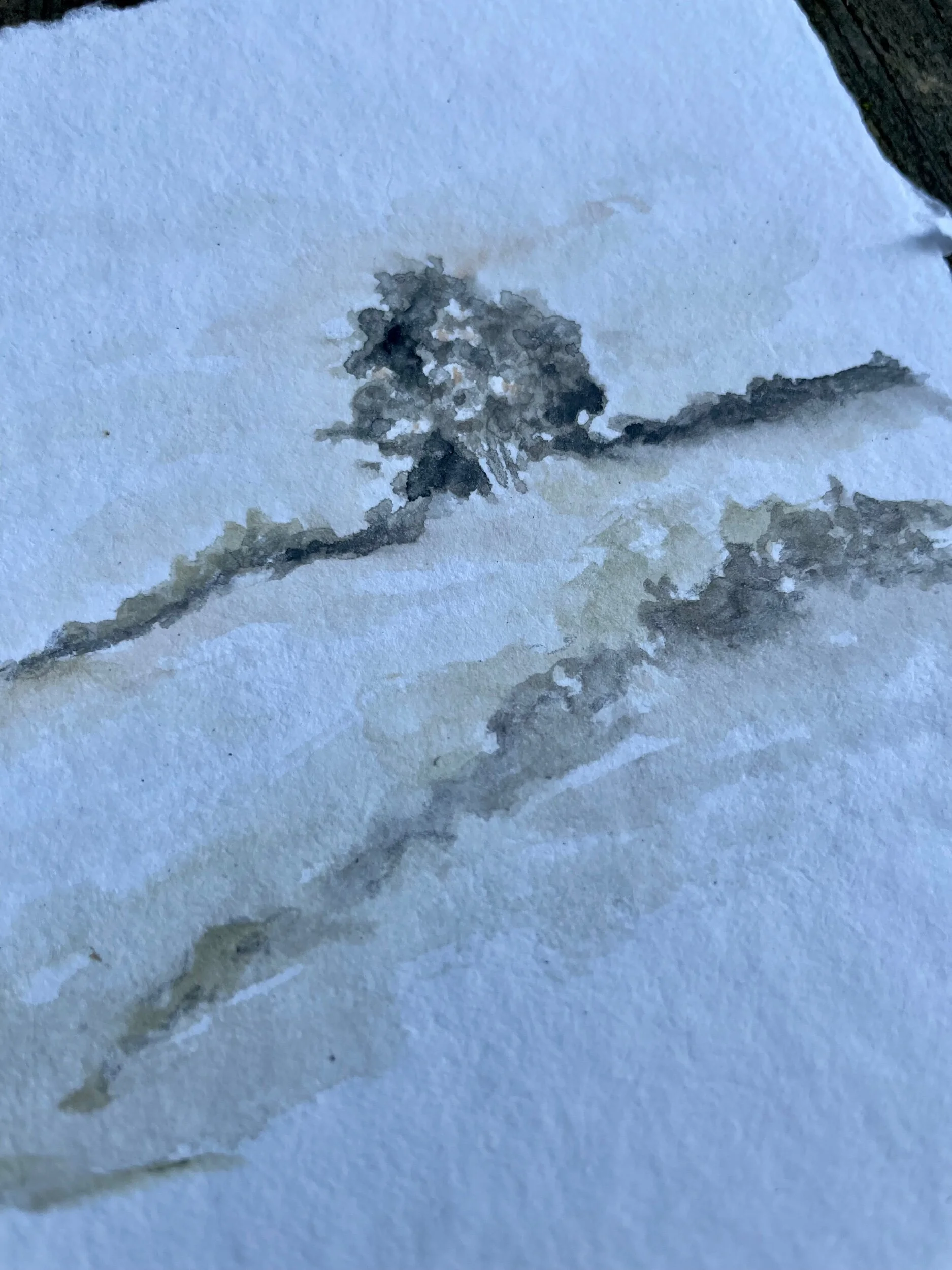 672D874B-D677-49FF-AFFF-A9F46D49BA79