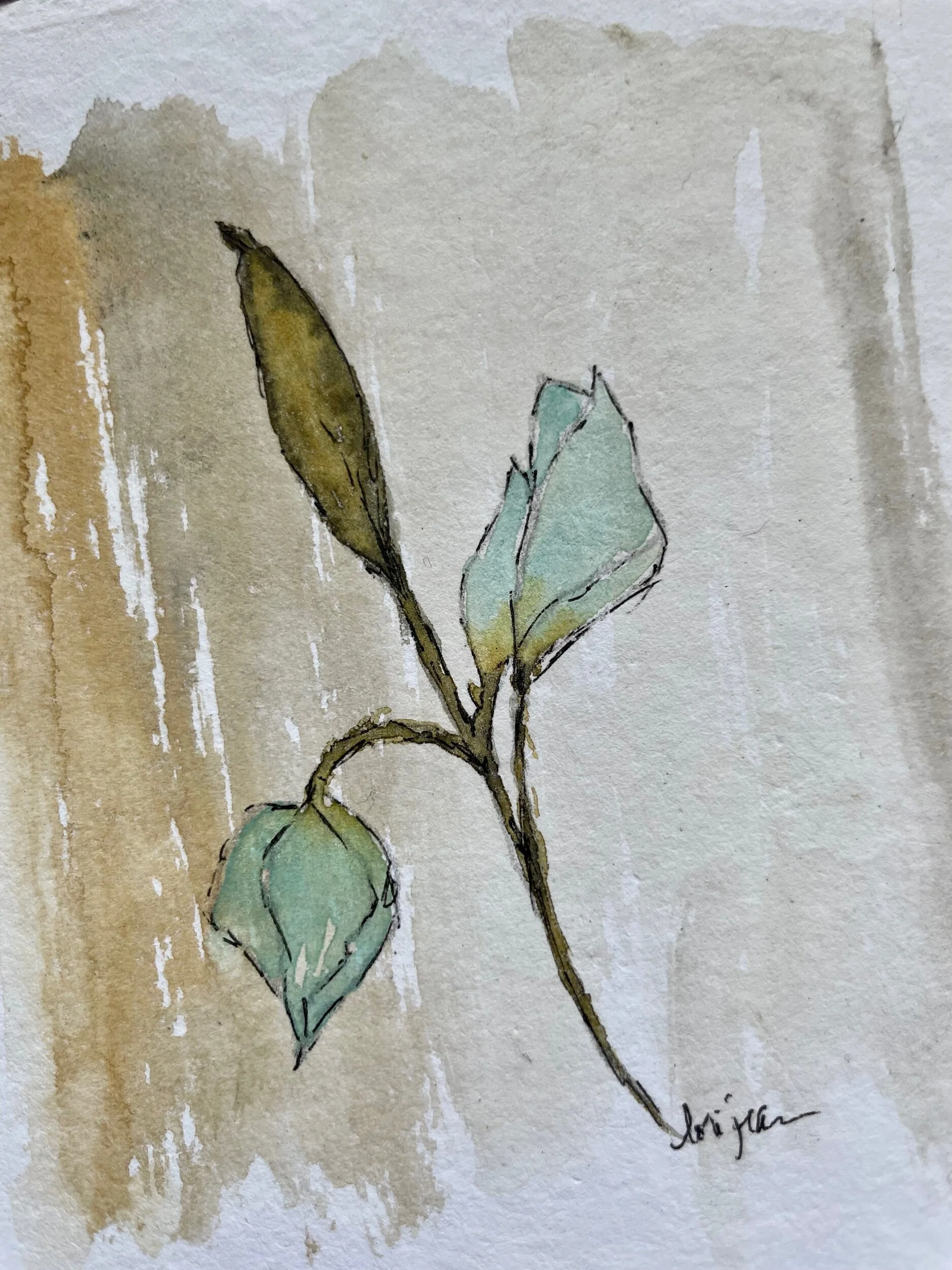 5EEFE8F4-AE5B-4BDA-BBBC-3F55DD82D10E