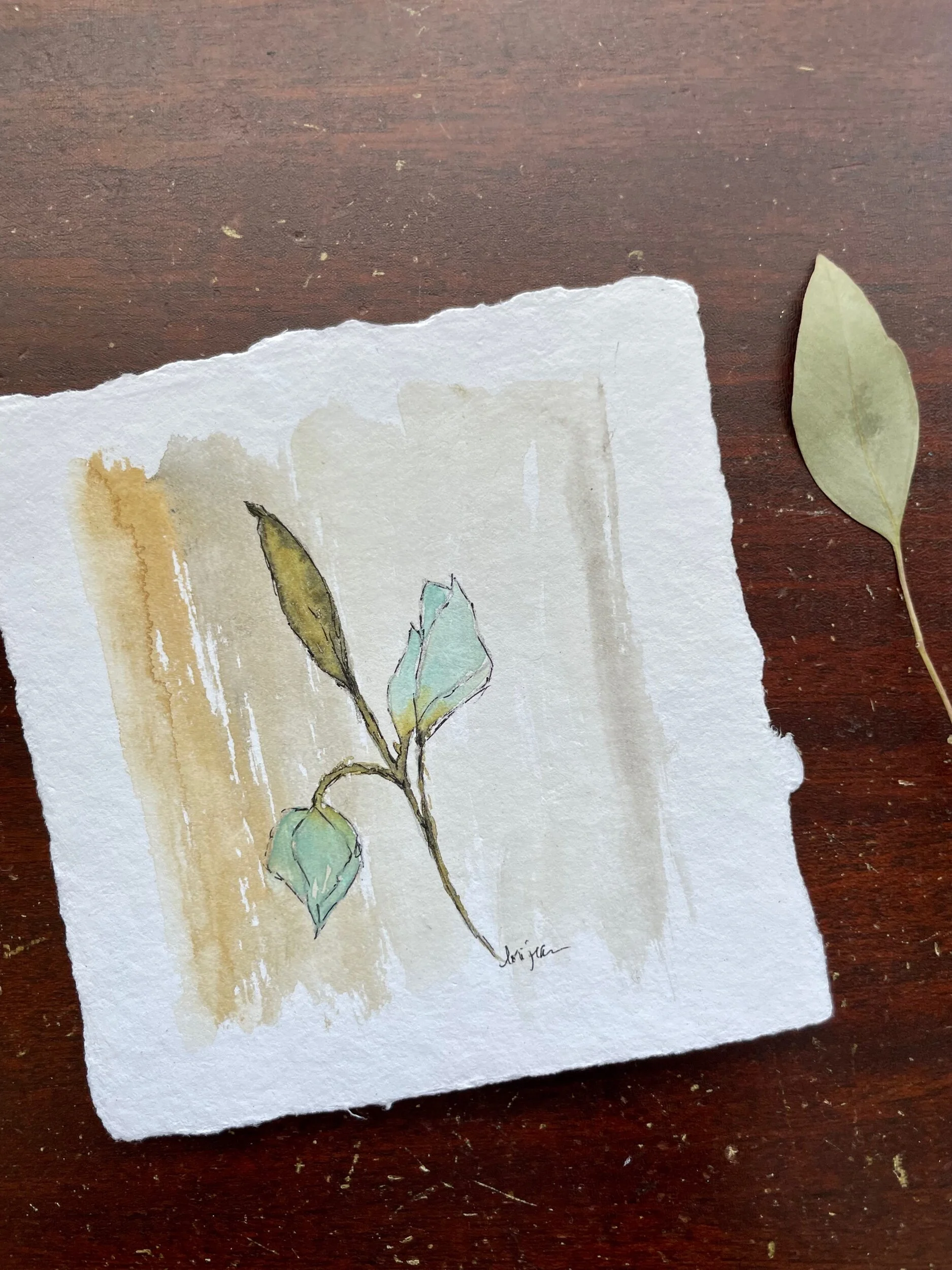 9AD5DE4D-8EA0-49BC-AB42-B95A2C650F68