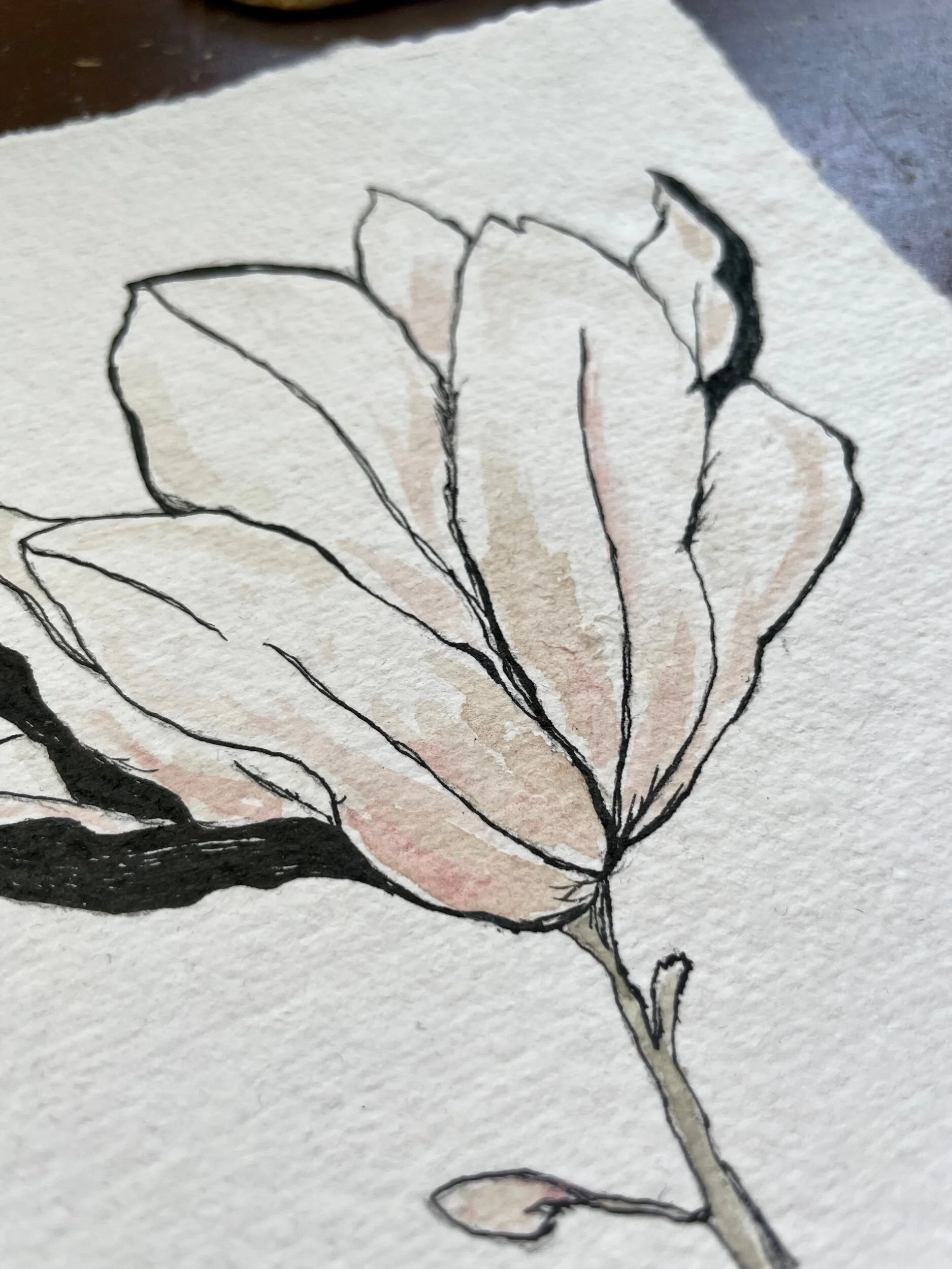 53213B09-92A6-4857-AEDB-DA05736AE657