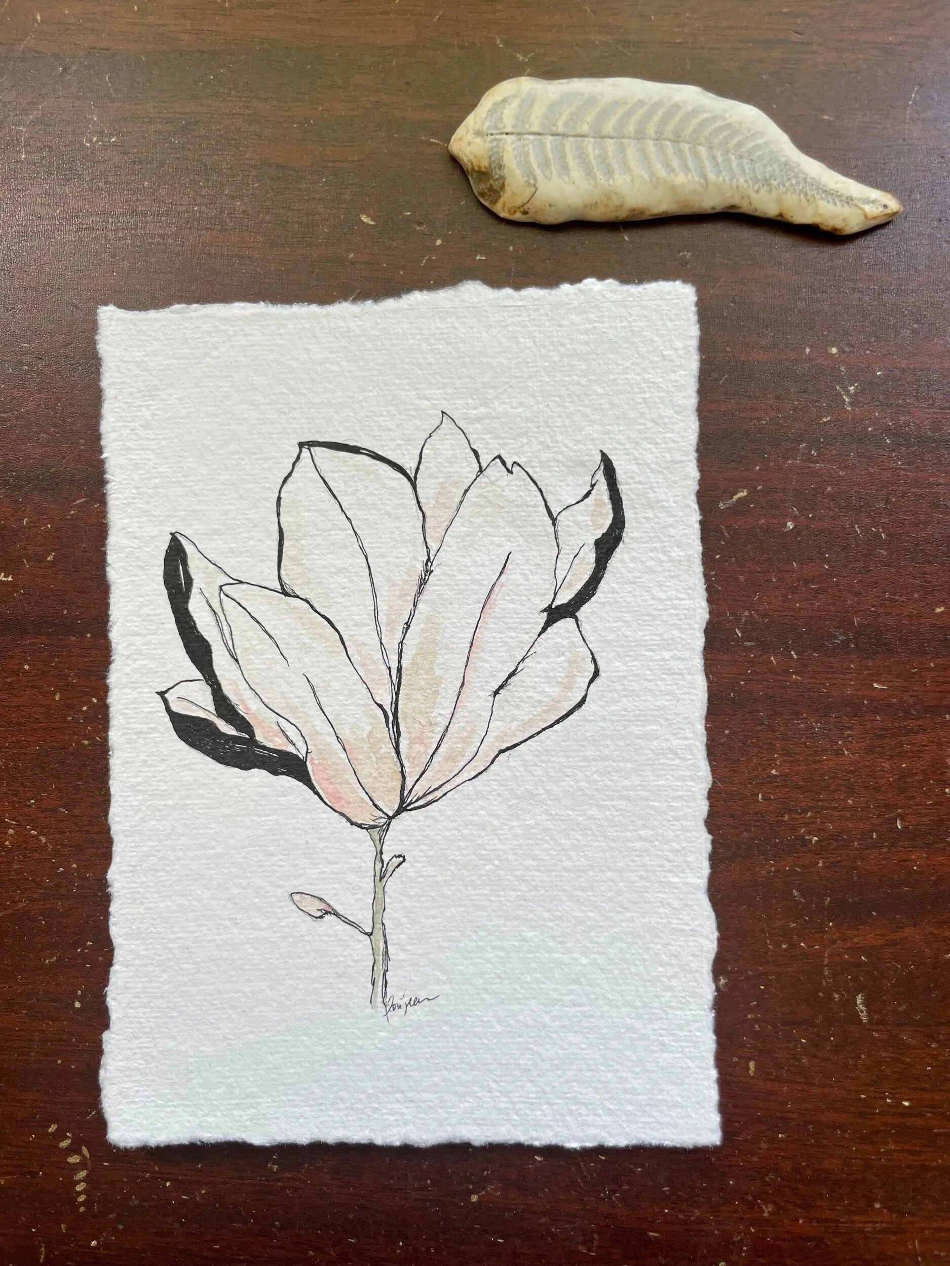 7DE4C966-C66E-419F-9C64-5488193E83B3