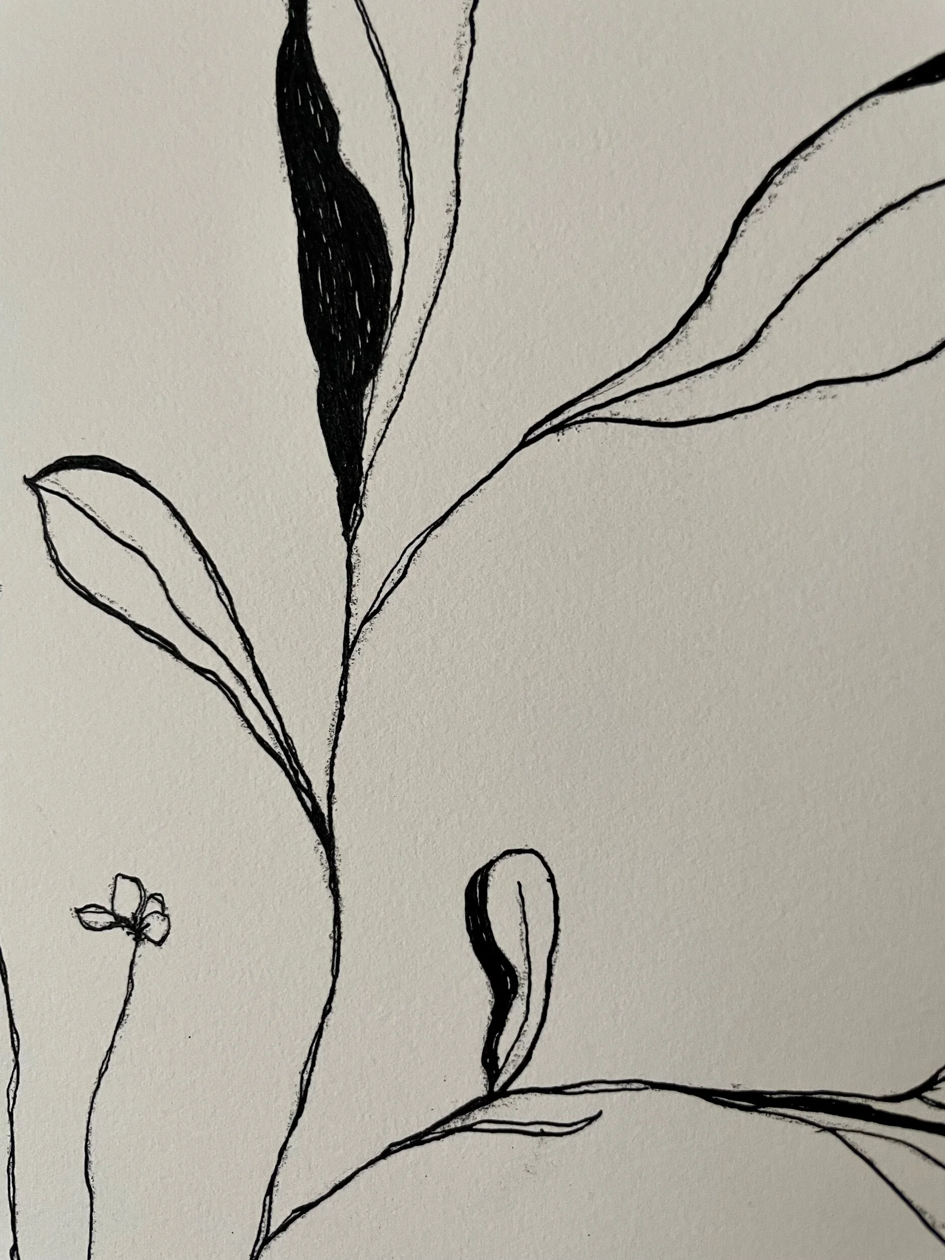 4B27DC0B-4BC0-4A0F-A36C-1376A6AF61D7