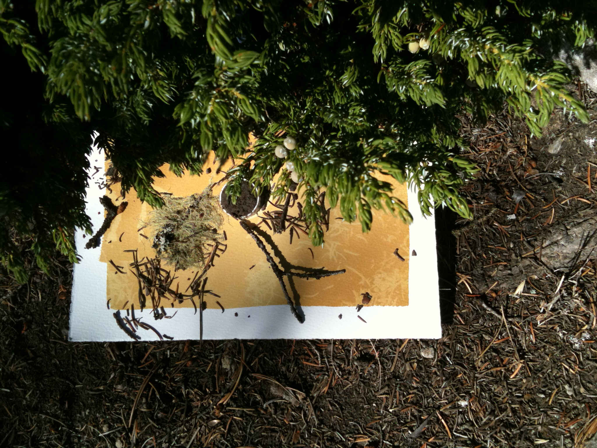 documentation of light drawing on tunnel mountain_low res.JPG