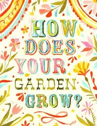 WHAT'S GROWING ON? NEWS OF THE DRISCOLL GARDEN: