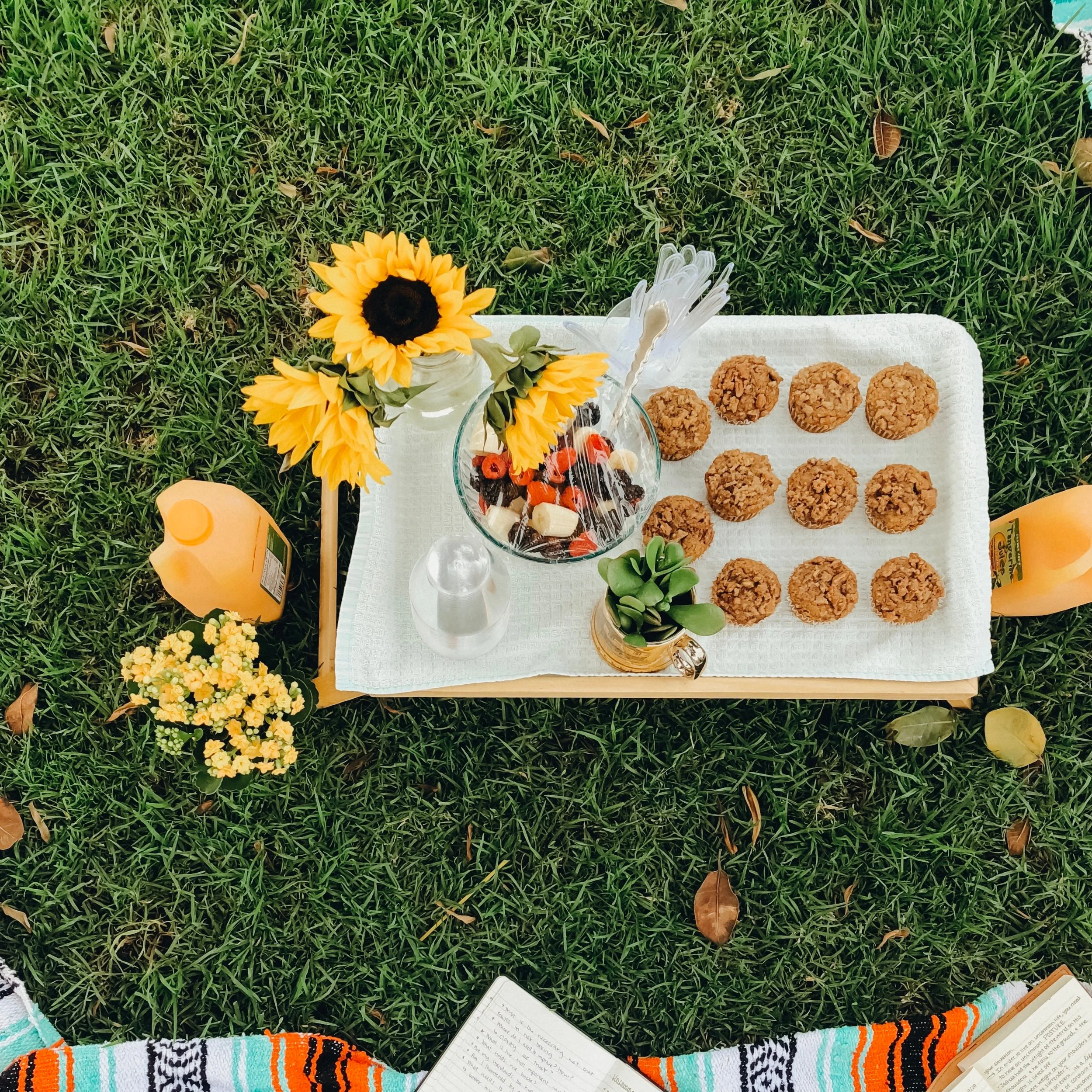 Annual Driscoll Back-To-School Picnic