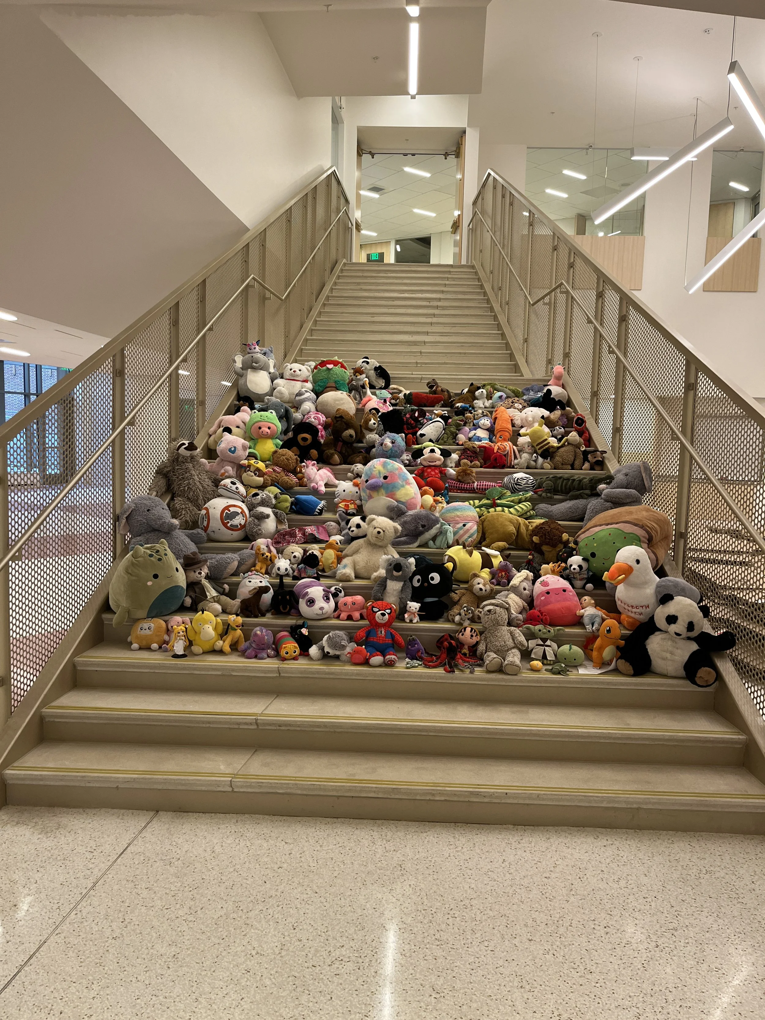 Stuffie Sleepover in the New Driscoll School!