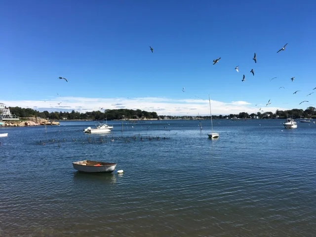 71219_calm_harbor.JPG