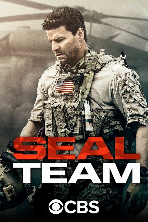 Seal Team Skydiving Stuntman and Aerial Stunt Coordinator