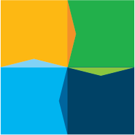 DanielStGeorge-Patternclashco-IBMIBV-LogoEx001.png