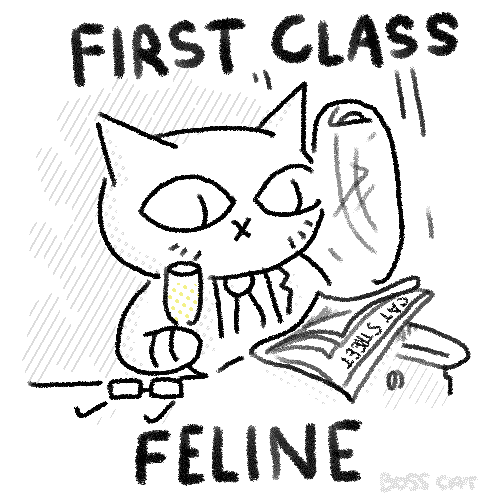 Thebosscat-38-Firstclass.gif