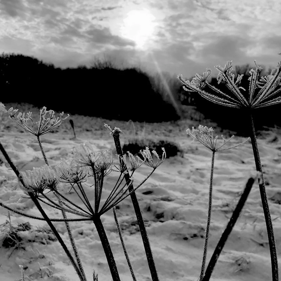 On The Subject of Wintering P2