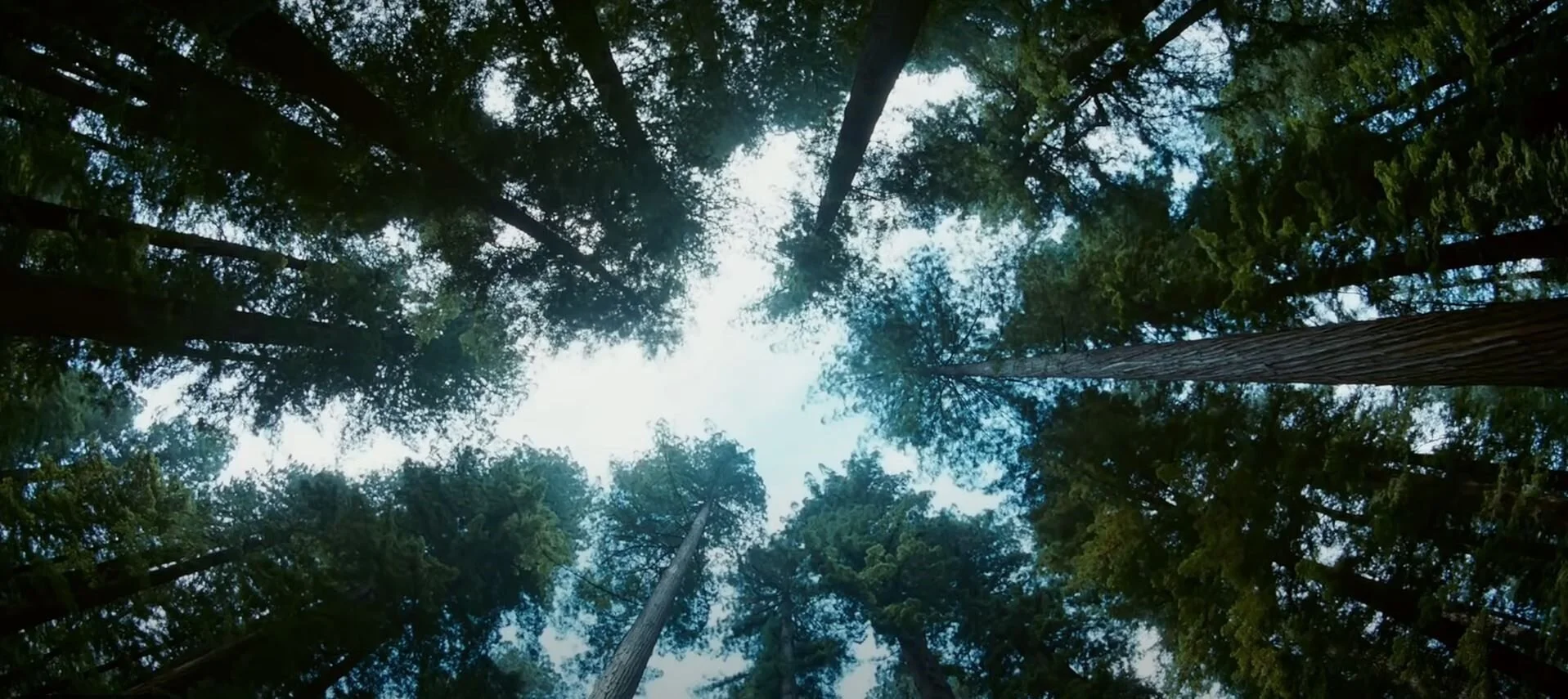 5 Great Films to Watch on Earth Day