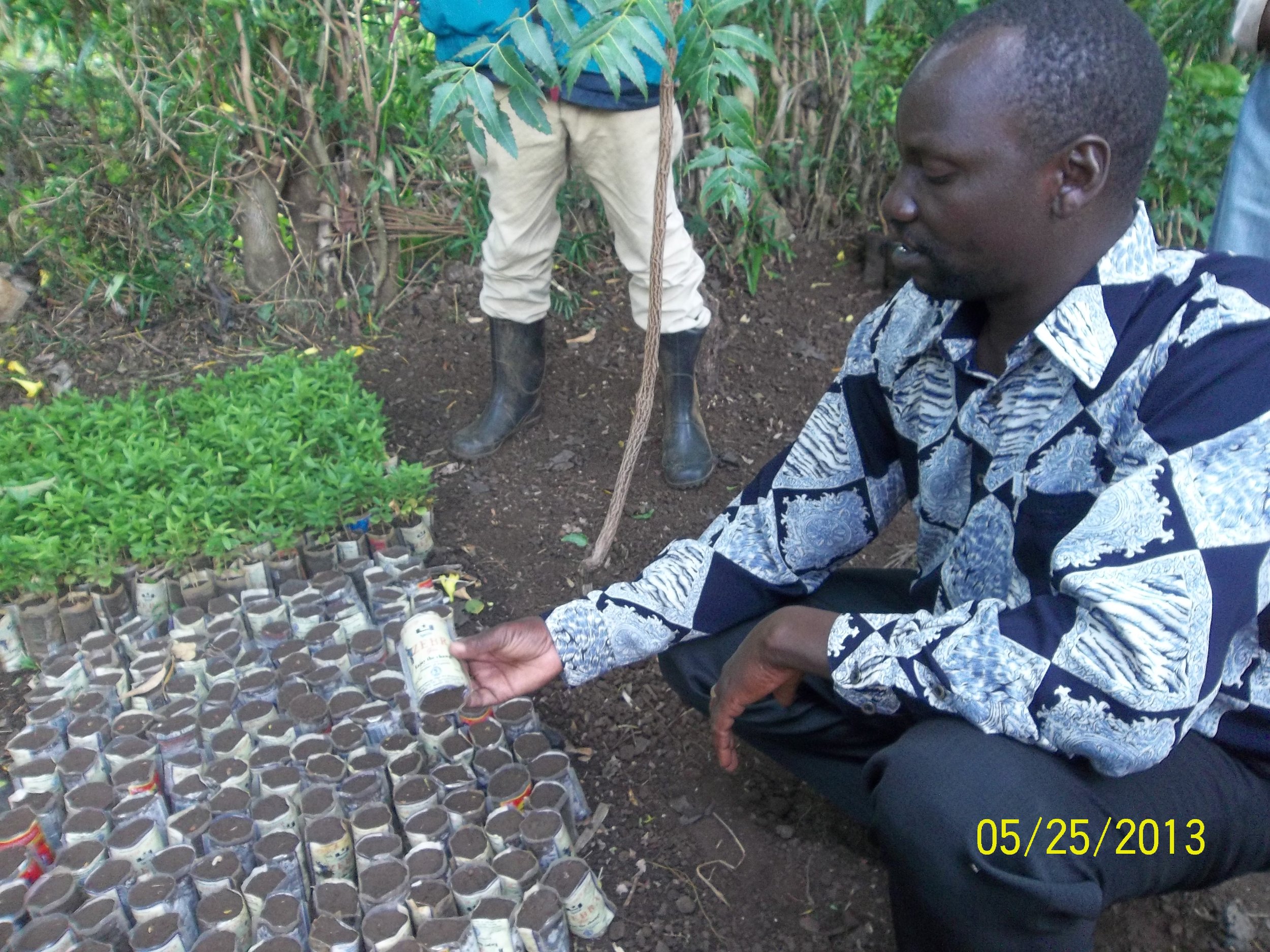Joshua Tending to Seedlings at one of KACHEP’s Agroforestry Nurseries 