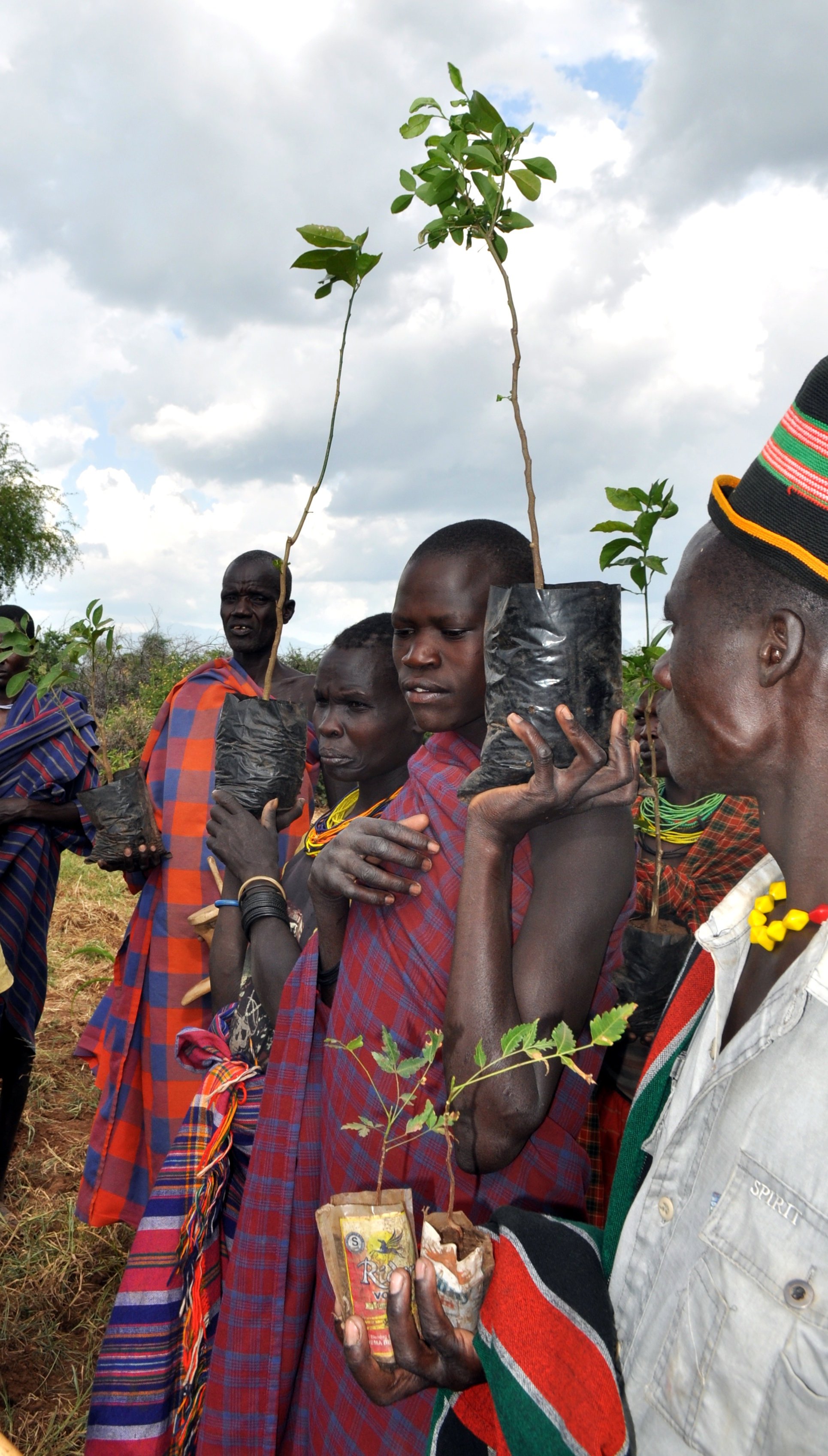 Planting Trees