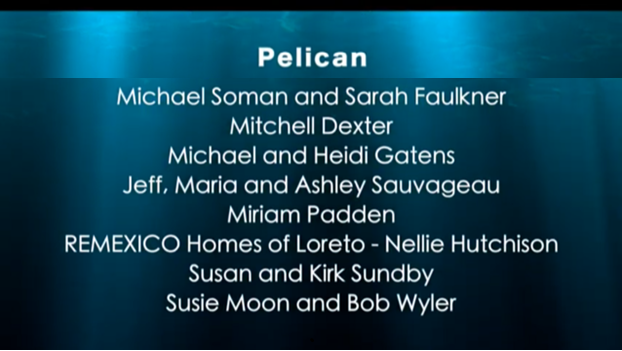 pelican 2.png