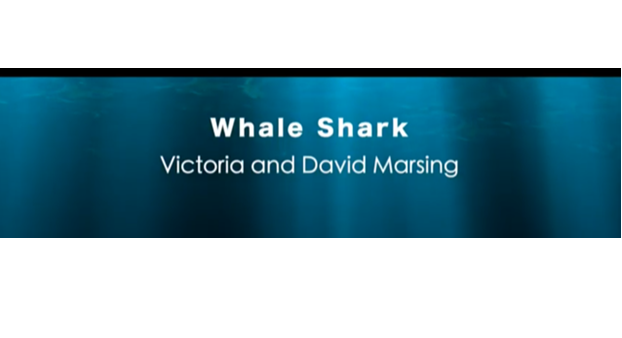 whale shark tile font-matched.png