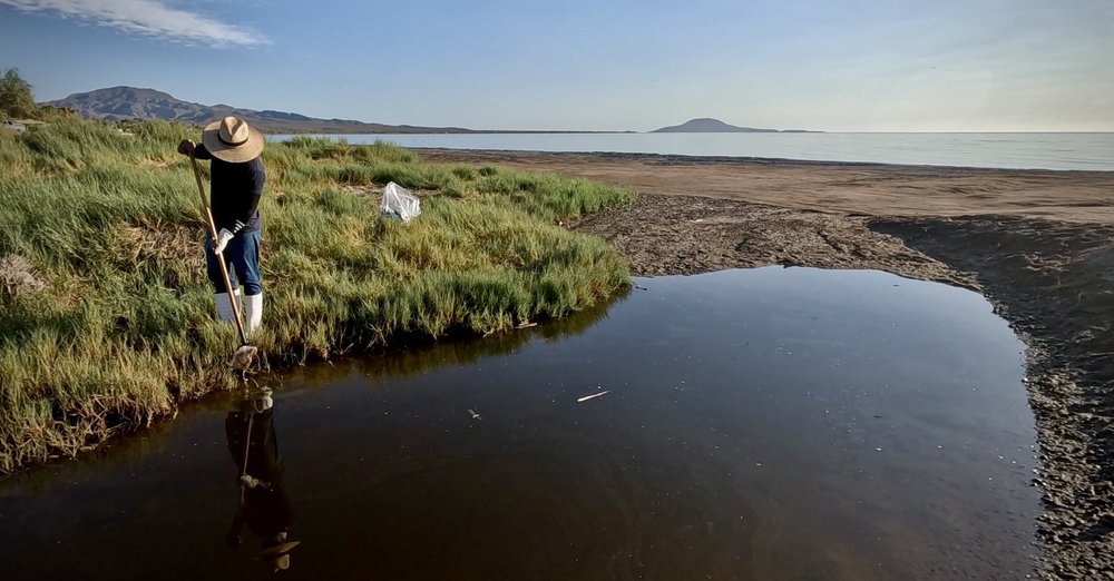 230815-KLM-Beach-Cleanup-10.jpeg