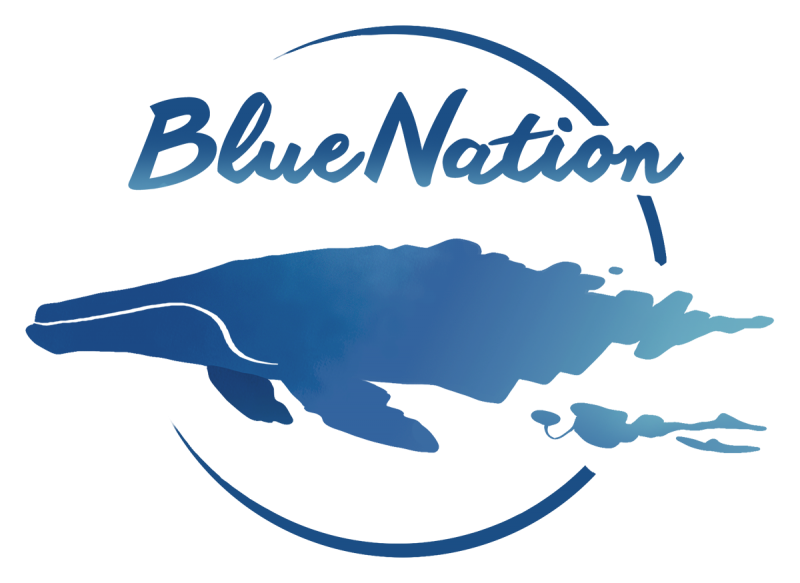 Blue-Nation-Logo.png