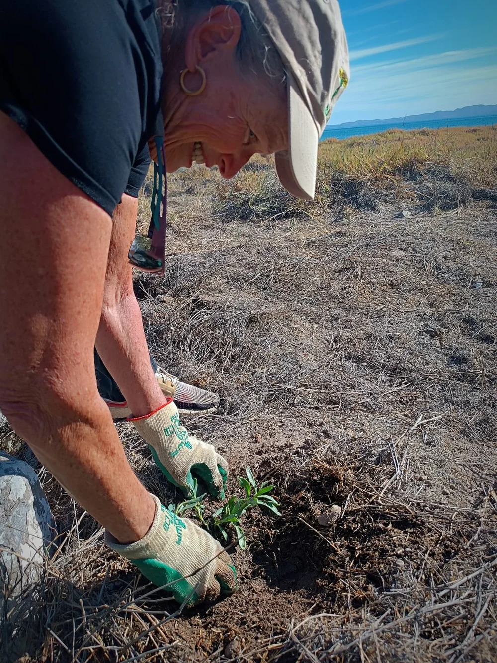 WhatsApp Image 2025-03-14 at 7.39.10 AM (1).jpeg