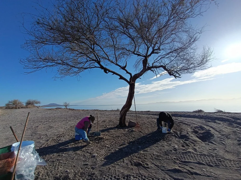 WhatsApp Image 2025-03-14 at 7.50.34 AM.jpeg