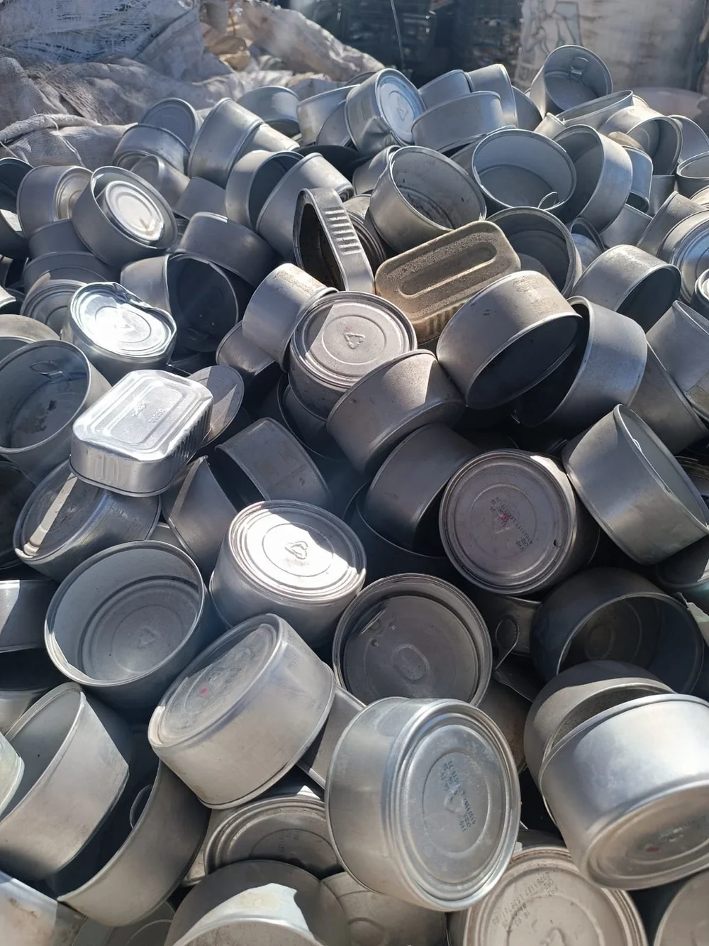 WhatsApp Image 2025-03-14 at 7.50.46 AM.jpeg