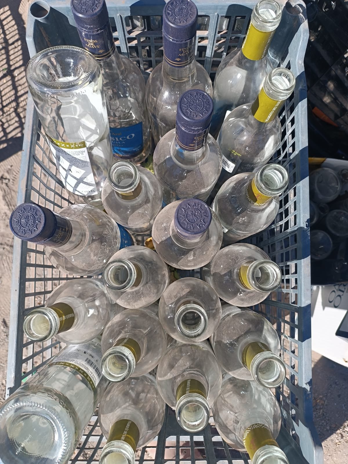 WhatsApp Image 2025-03-14 at 7.50.45 AM (1).jpeg