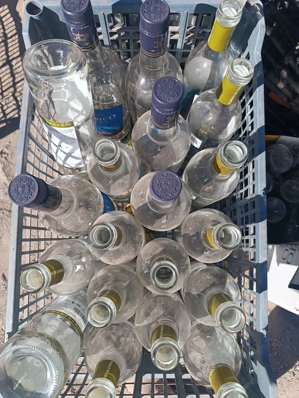 WhatsApp Image 2025-03-14 at 7.50.45 AM (1).jpeg