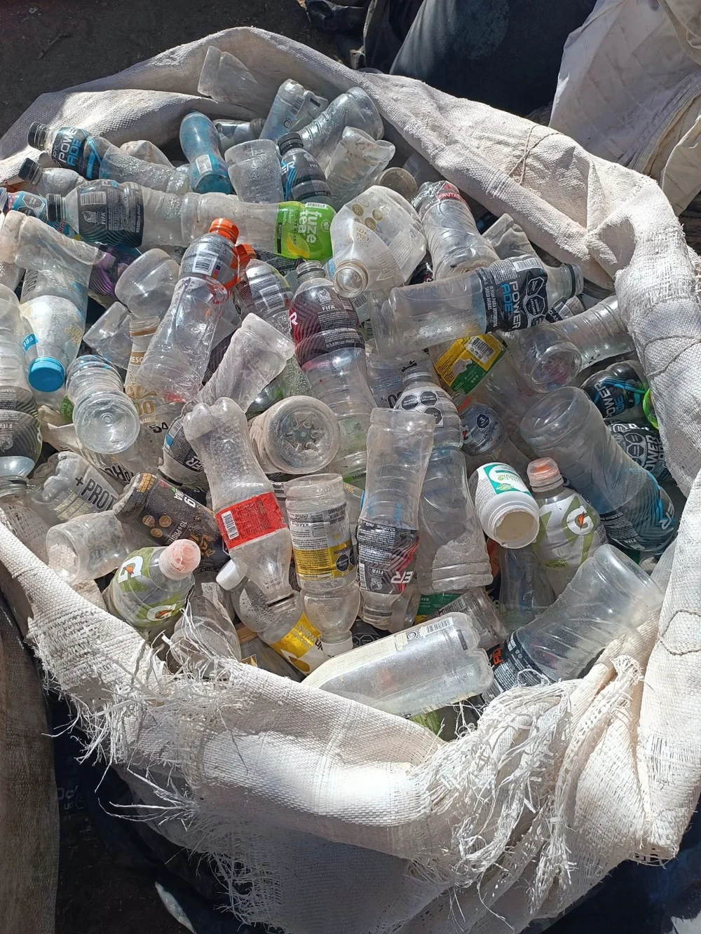 WhatsApp Image 2025-03-14 at 7.50.42 AM.jpeg