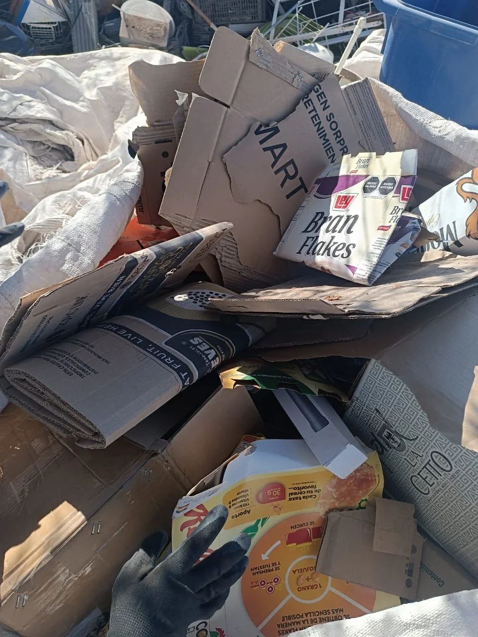 WhatsApp Image 2025-09-23 at 11.16.23 PM.jpeg