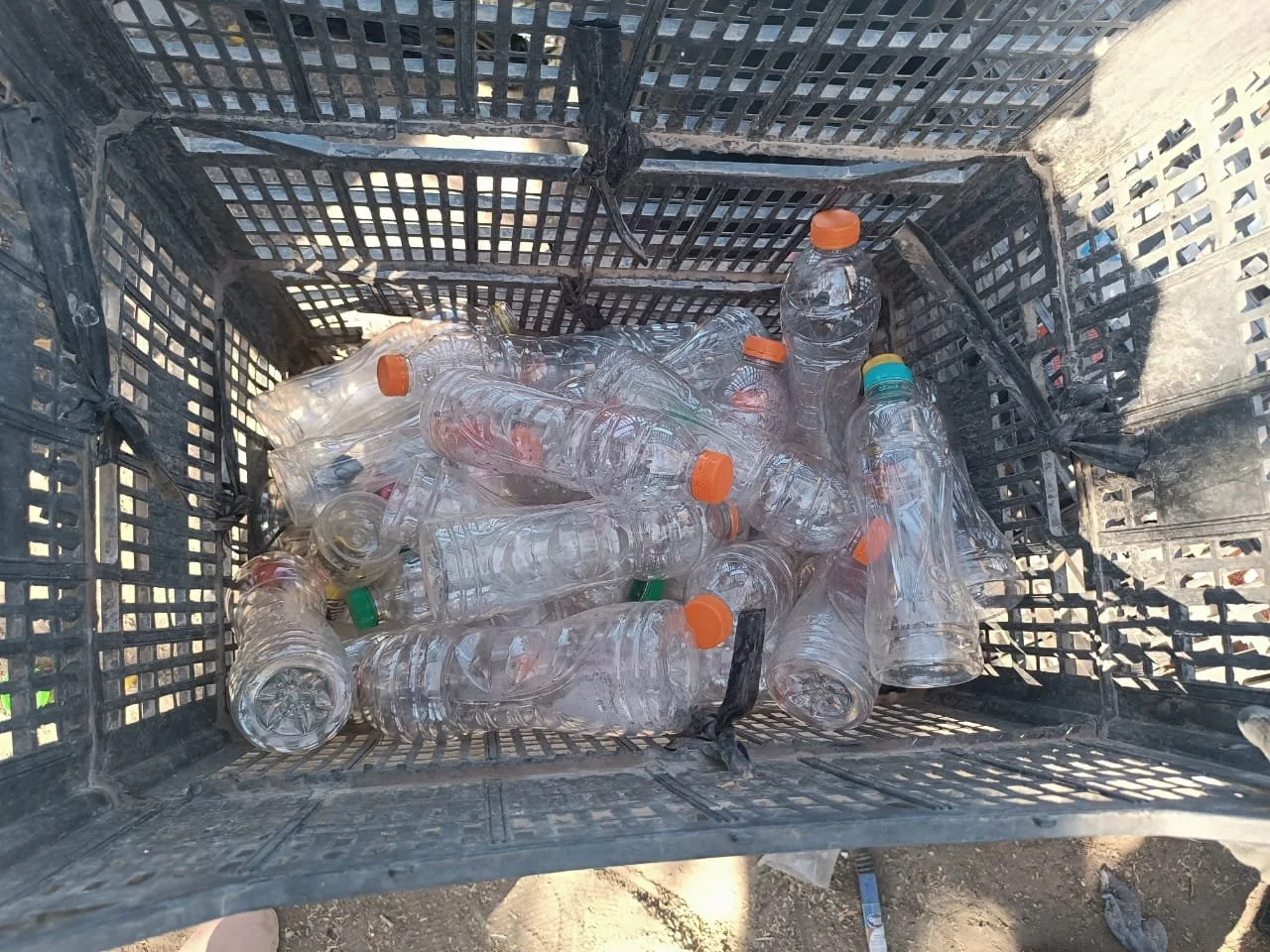 WhatsApp Image 2025-09-23 at 11.16.22 PM (5).jpeg