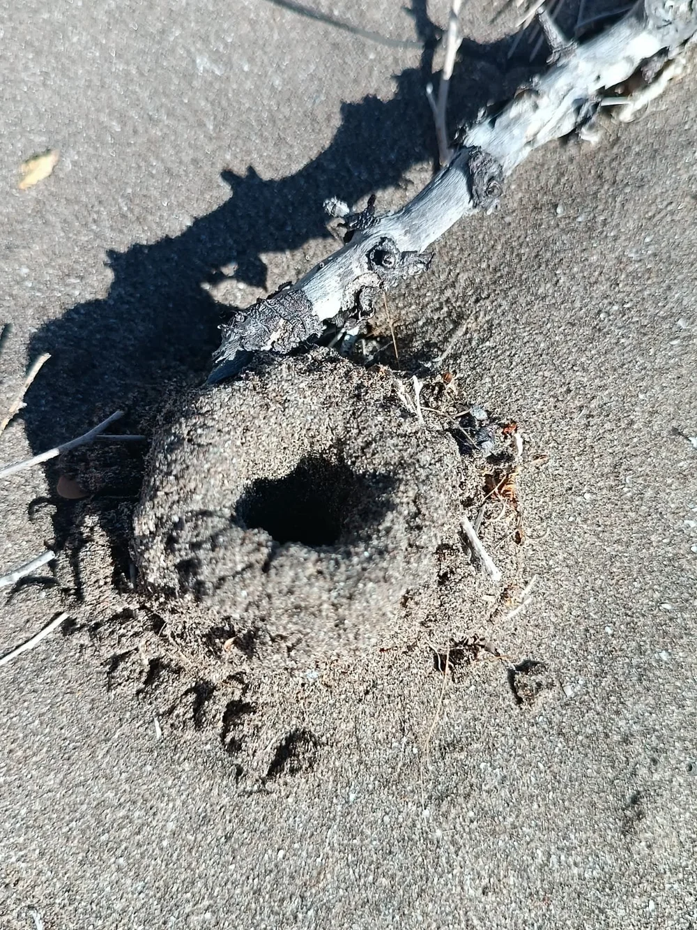 WhatsApp Image 2025-09-24 at 3.25.04 PM (9).jpeg