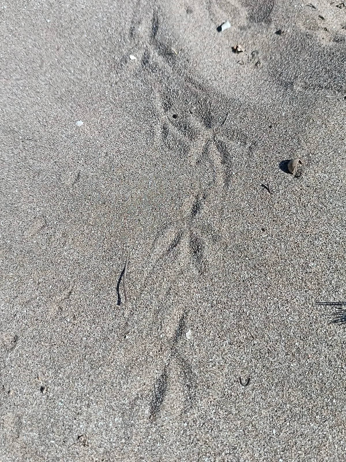 WhatsApp Image 2025-09-24 at 3.25.04 PM (8).jpeg